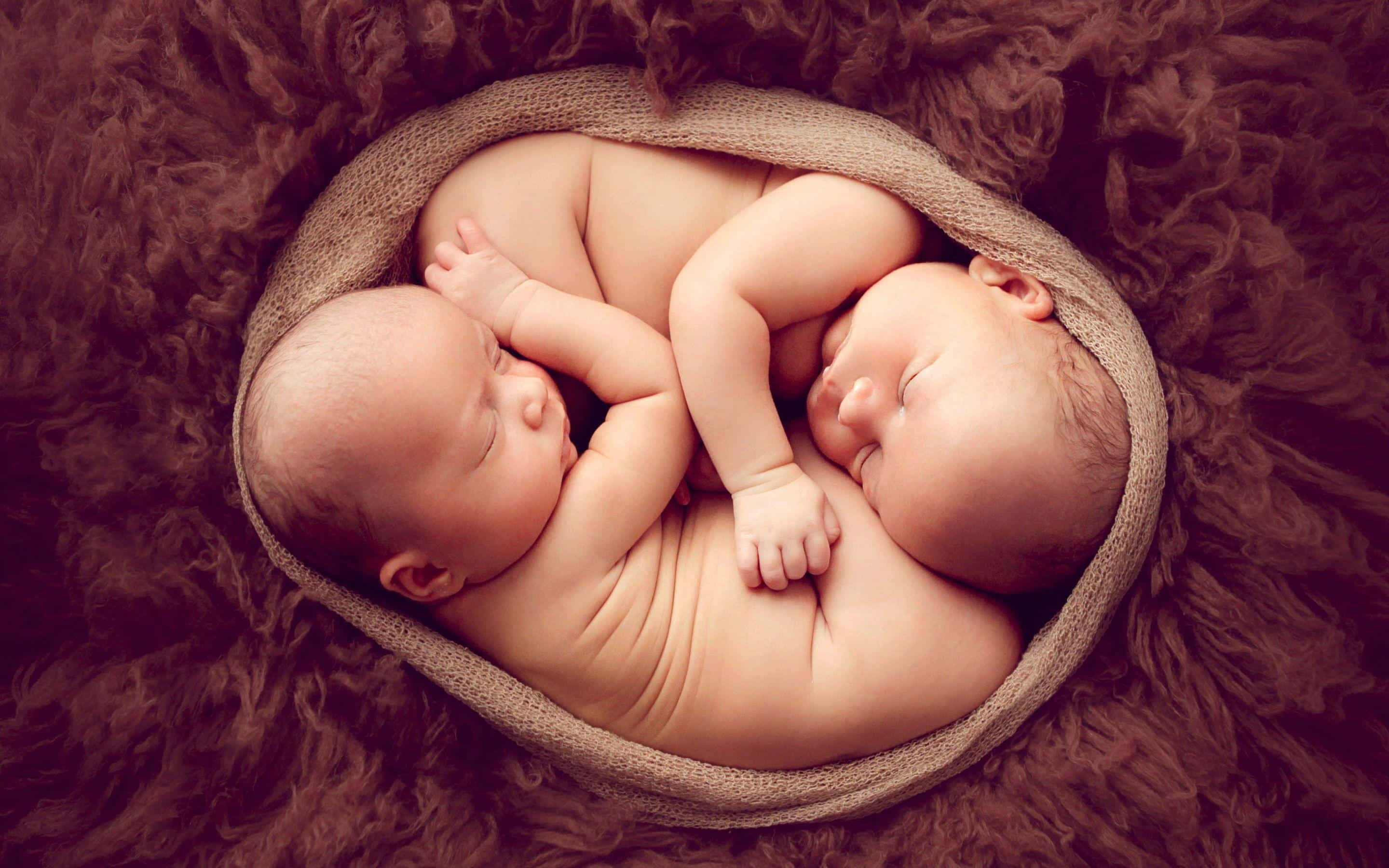 Cute Babies 桌布 壁紙 — 兩名新生雙胞胎在毛絨棕色地毯上的編織籃中安詳地交織入睡。