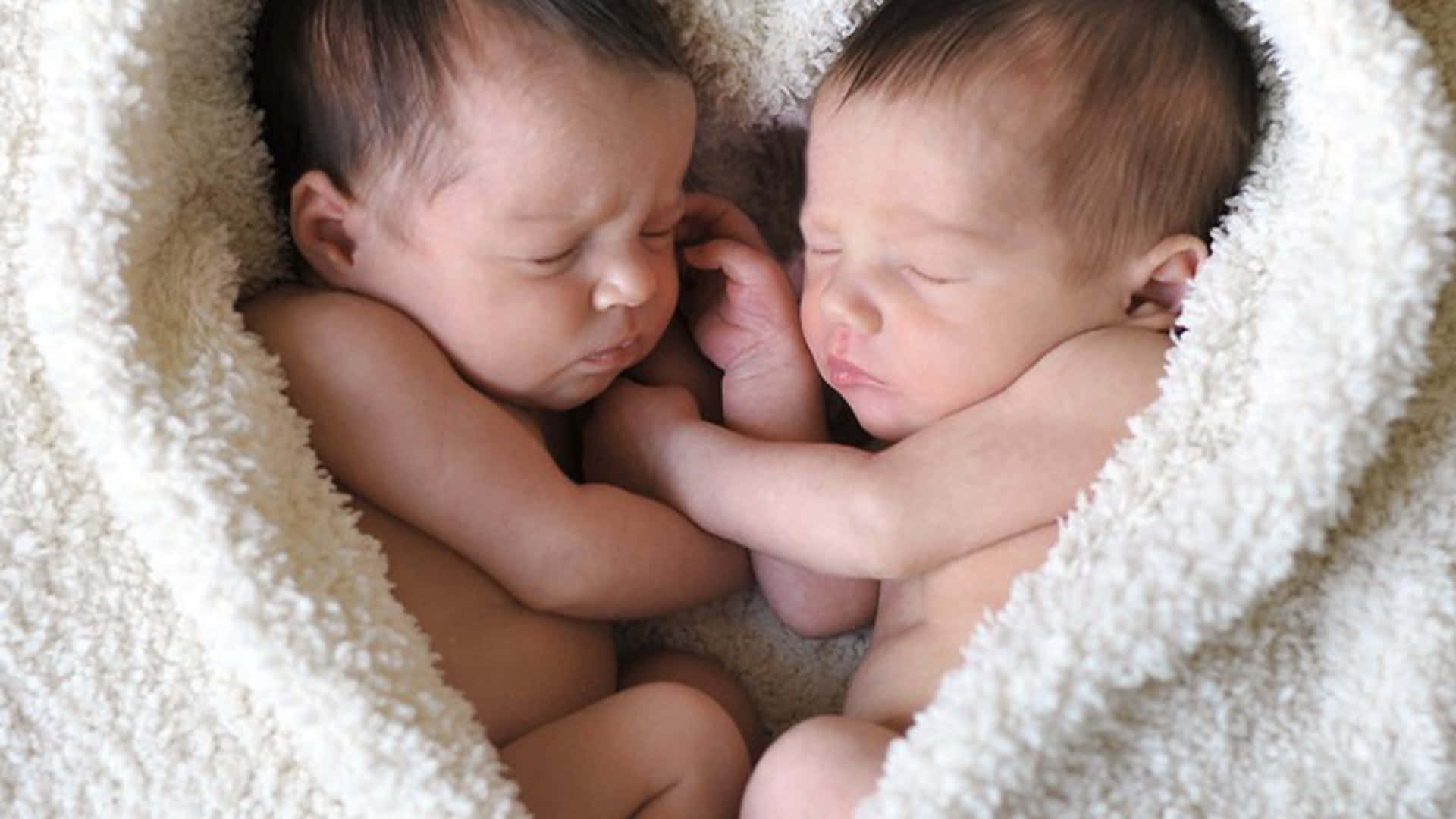 Cute Babies 桌布 壁紙 — 兩名新生雙胞胎安詳地睡在柔軟的白色毛毯中，他們的小手臂輕輕觸碰著。