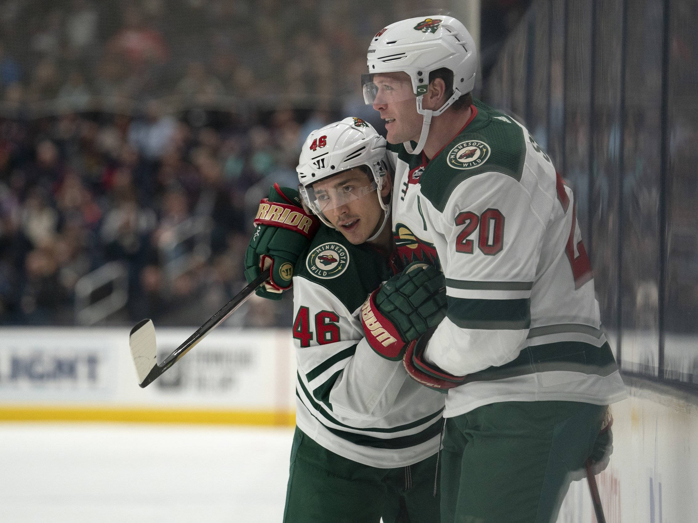 hockey 桌布 壁紙 — 兩名明尼蘇達荒野冰球球員身穿綠色和白色球衣，在冰上慶祝進球，背景有模糊的球迷。