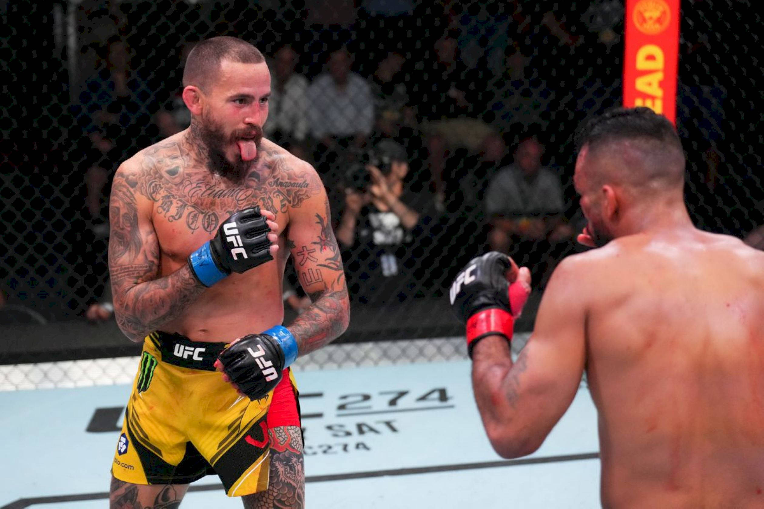 MMA 桌布 壁紙 — 兩名有刺青的MMA拳手在八角籠中對峙，一人伸出舌頭，另一人準備出擊。