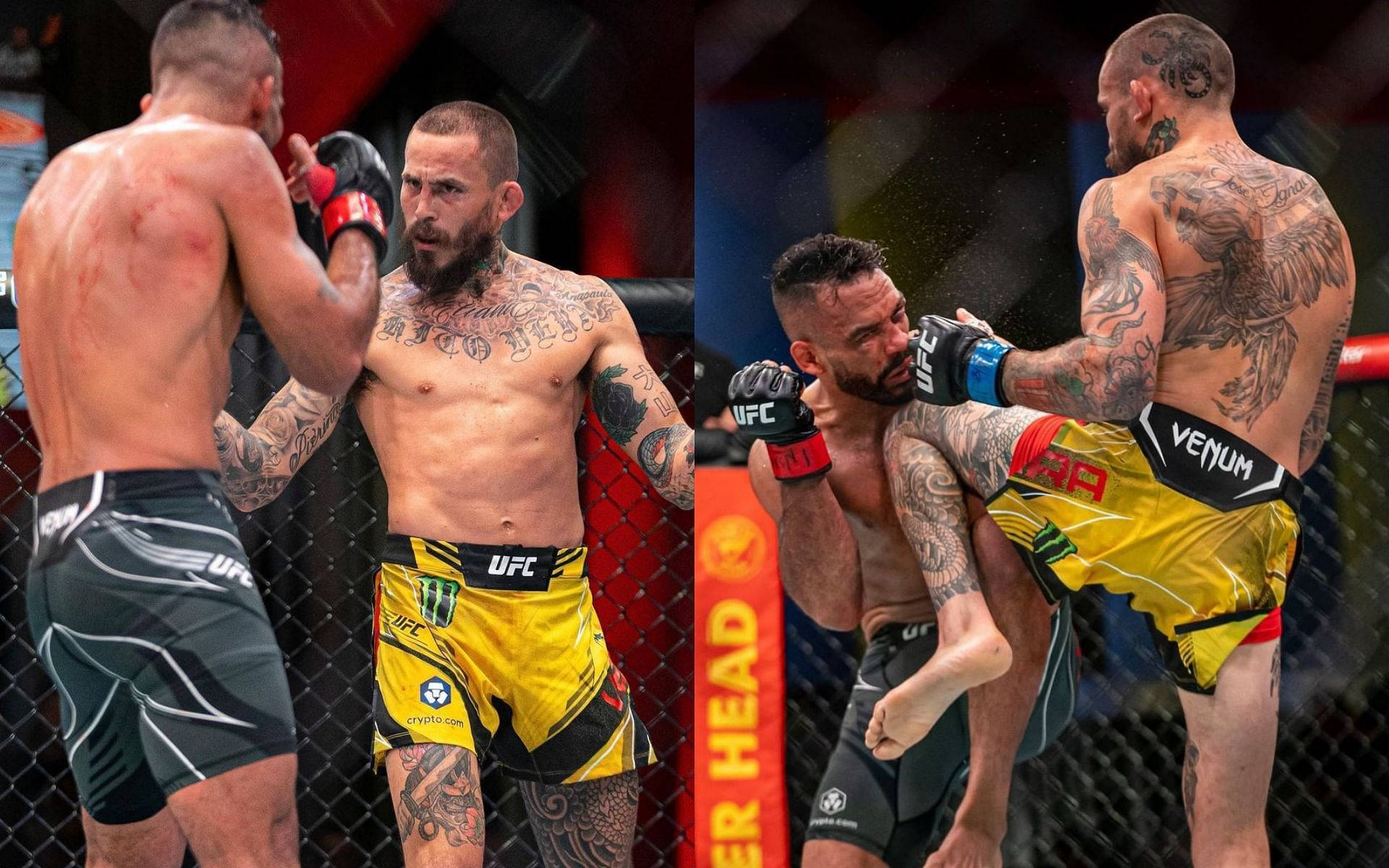 MMA 桌布 壁紙 — 兩名有刺青的MMA拳手在激烈的籠鬥中交鋒，其中一人使出高踢。