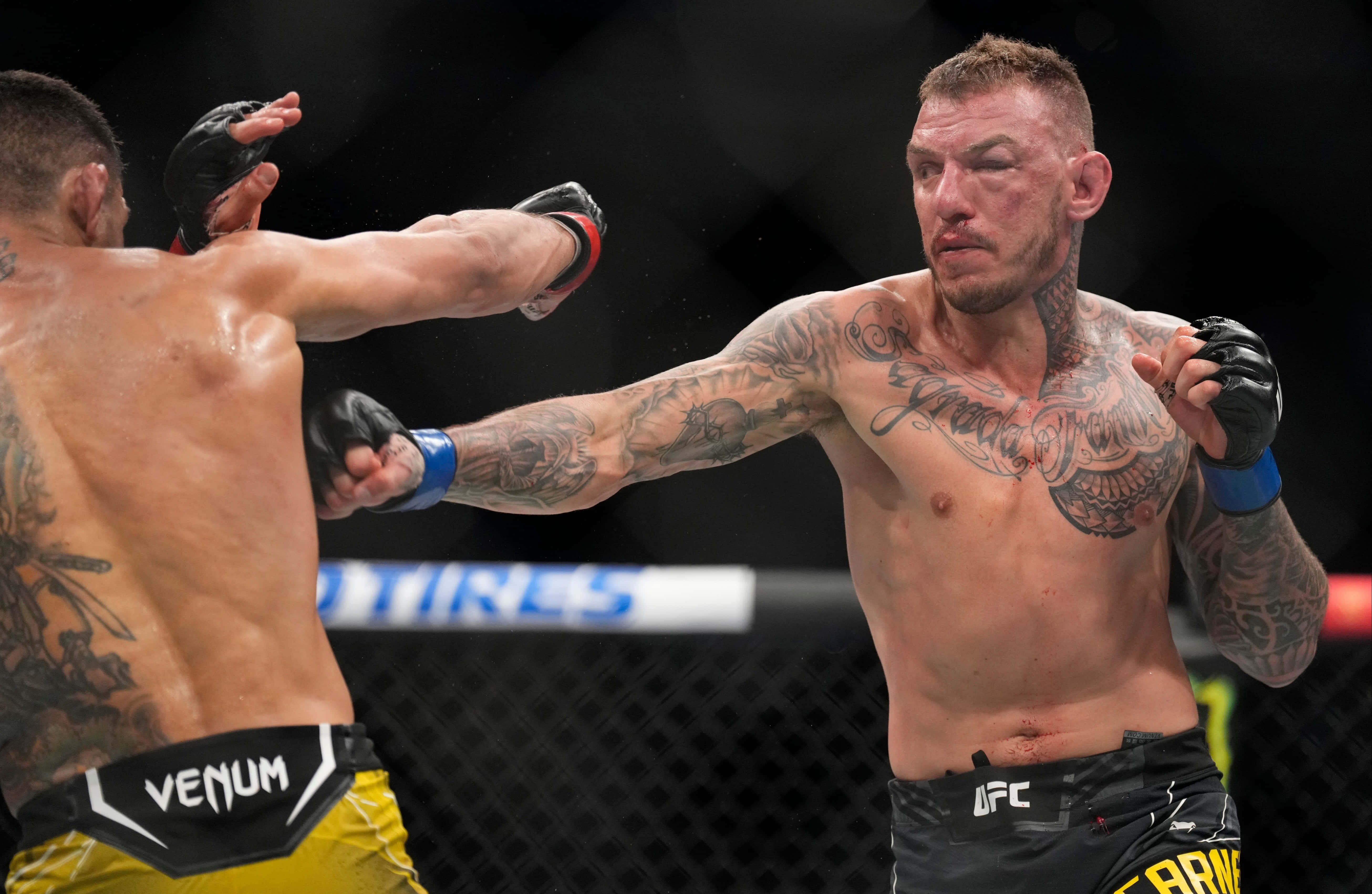 運動 桌布 壁紙 — 兩名有刺青的MMA拳手在激烈的鐵籠賽中交鋒，汗水飛濺，表情專注。