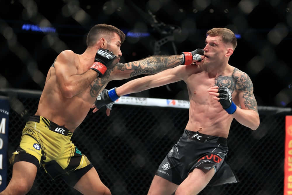 UFC 桌布 壁紙 — 兩名有刺青的MMA拳手在籠中交鋒，一人打出強力一拳，另一人阻擋，這是一場高風險的搏鬥。