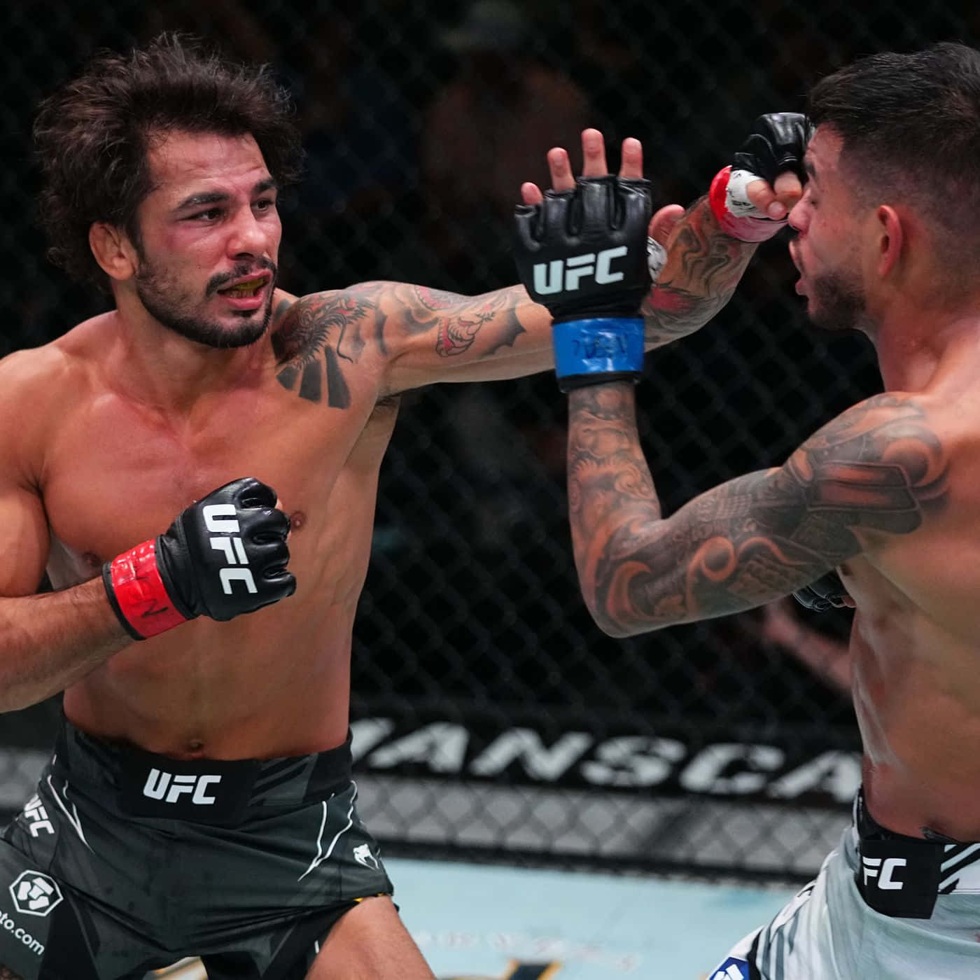 MMA 桌布 壁紙 — 兩名有刺青的MMA拳手在籠內對決，戴著UFC手套，在明亮的場館燈光下表情激烈。