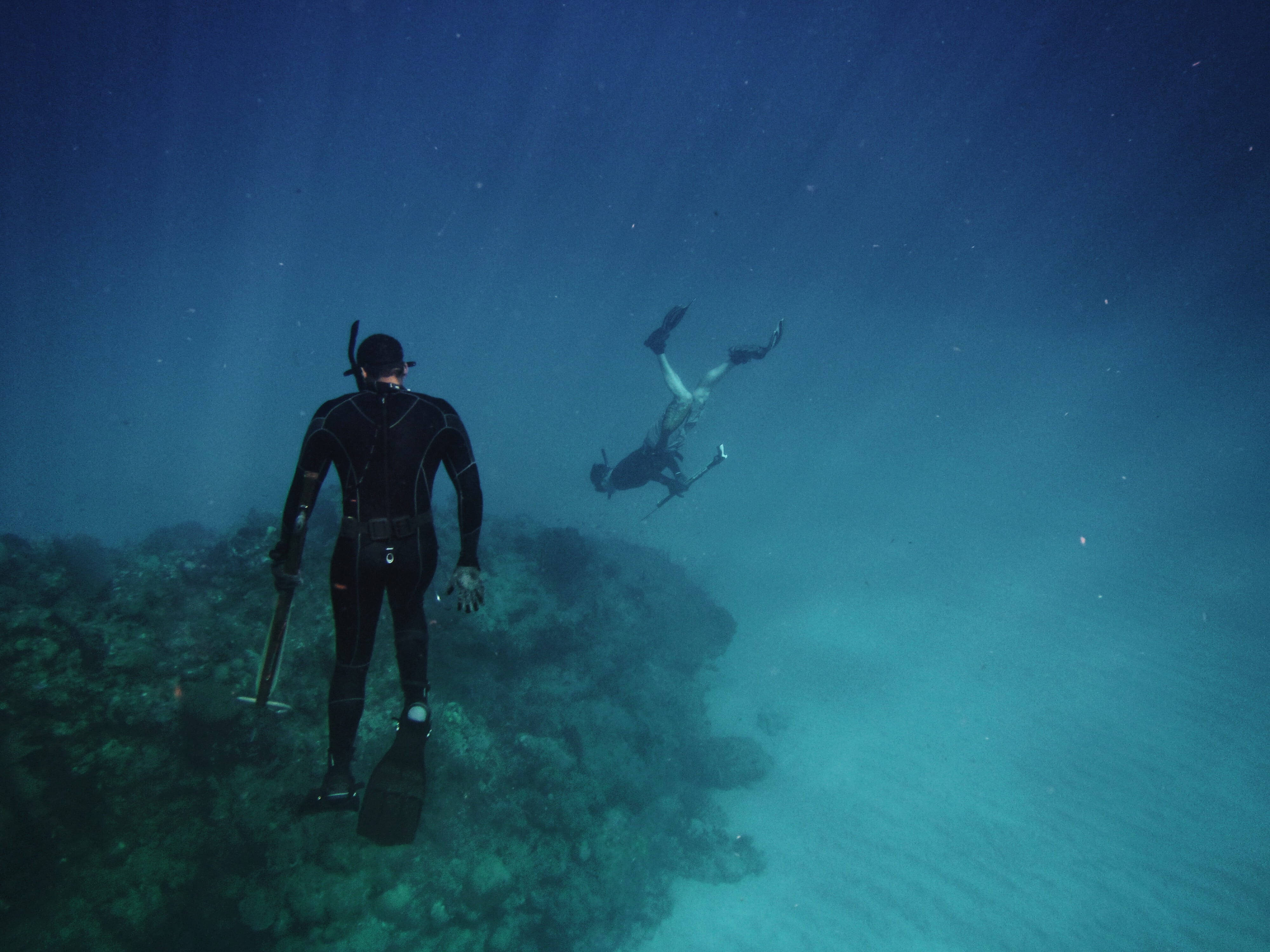 diving 桌布 壁紙 — 兩名水肺潛水員在陽光從上方照射的深藍色海水下探索珊瑚礁。