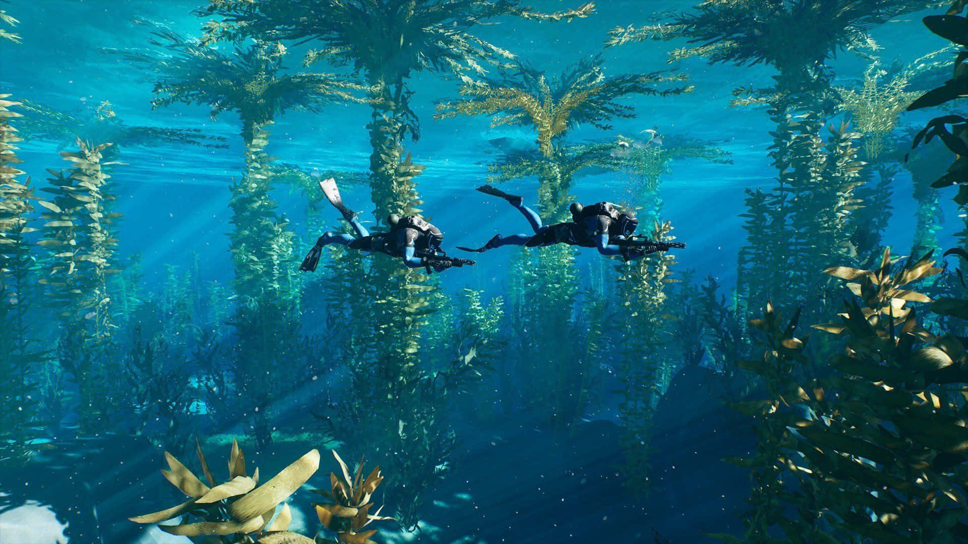 Aquatic 桌布 壁紙 — 兩名水肺潛水員在陽光照耀的海藻林中滑行，高大的金色葉子在清澈的藍色海水中搖曳。