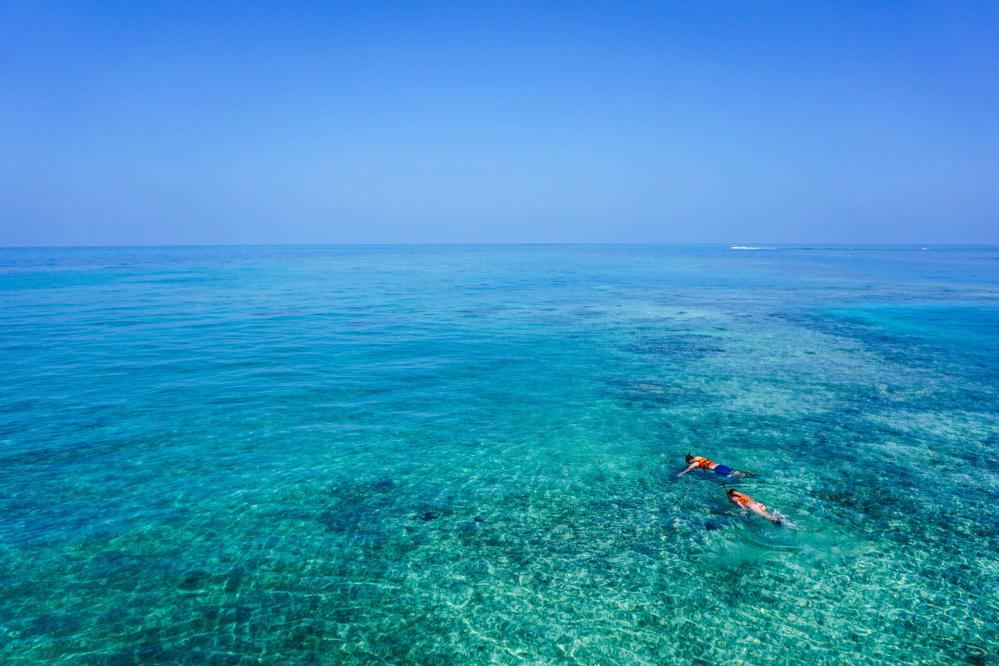 Snorkeling 桌布 壁紙 — 兩名浮潛者在充滿活力的碧綠海面上滑行，露出水晶般清澈波浪下陽光普照的珊瑚礁。