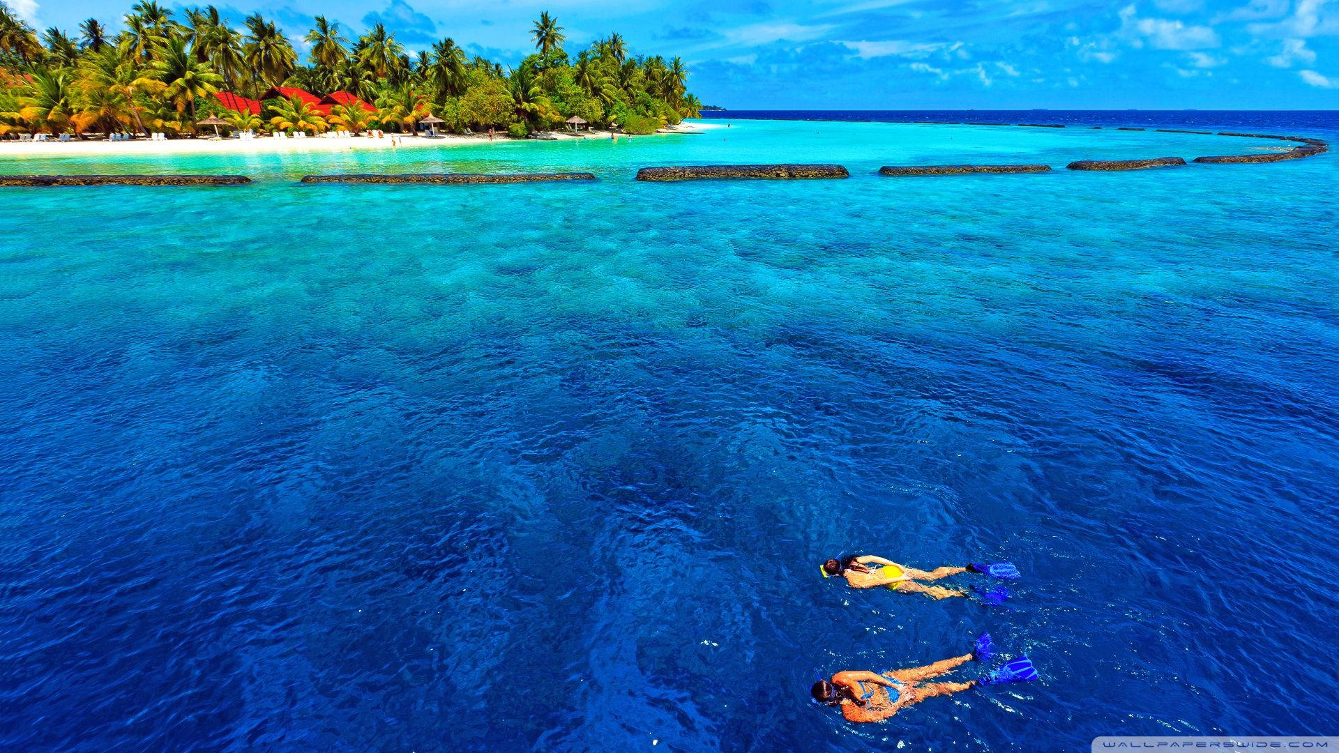 Snorkeling 桌布 壁紙 — 兩名浮潛者在棕櫚樹和紅頂小屋的熱帶島嶼附近，在充滿活力的碧綠海水中滑行。