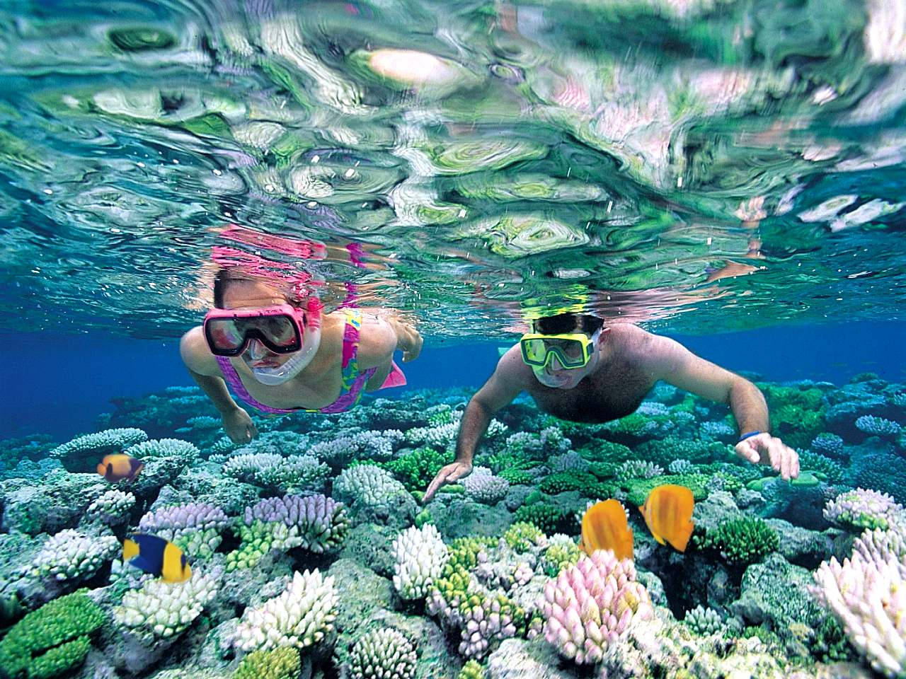 Snorkeling 桌布 壁紙 — 兩名浮潛者在波光粼粼的碧綠海水下，滑翔於充滿色彩繽紛魚類的 vibrant 珊瑚礁之上。