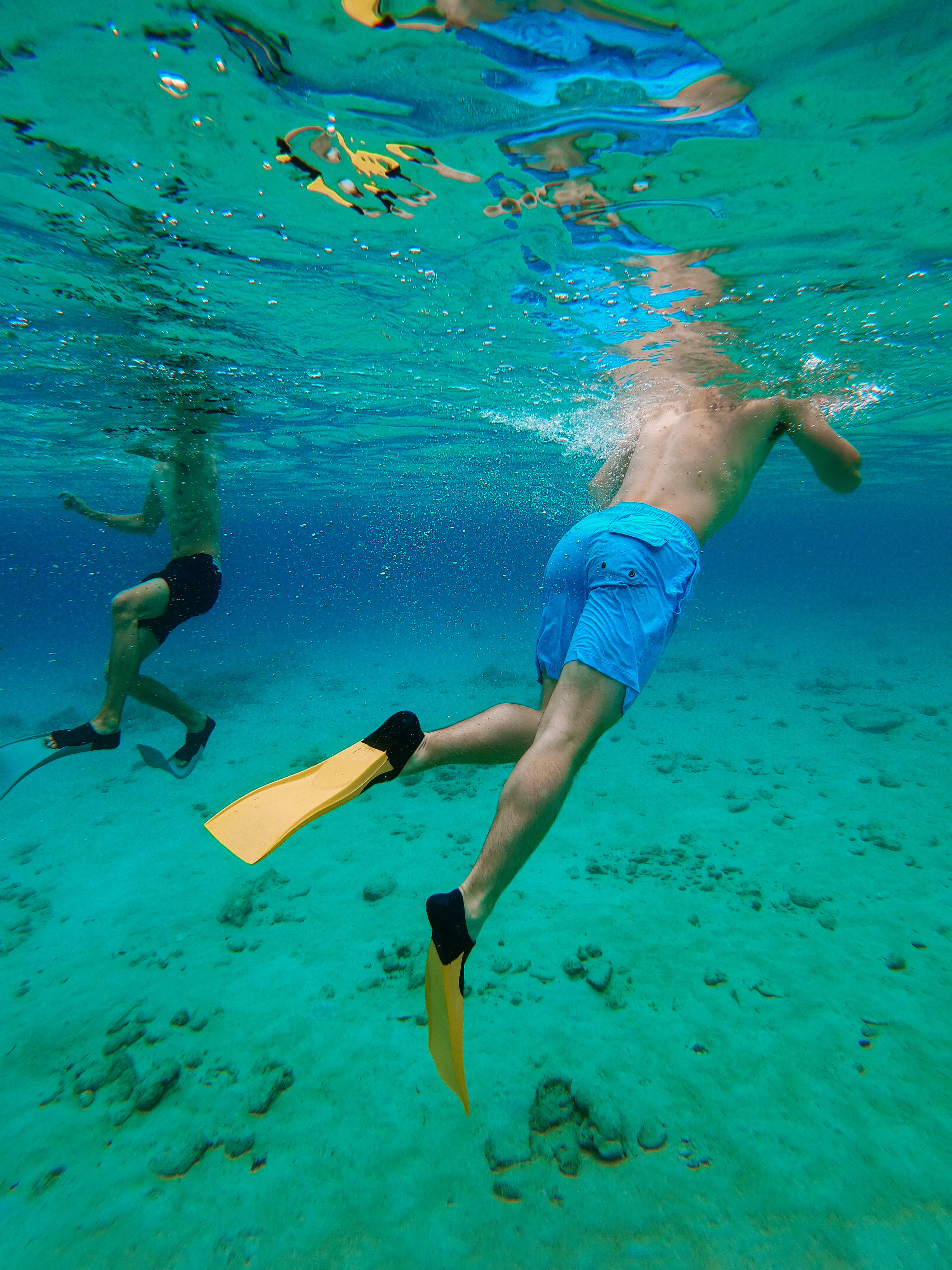 Snorkeling 桌布 壁紙 — 兩名浮潛者在清澈的碧綠海水中滑行，下方是佈滿珊瑚的沙質海床。