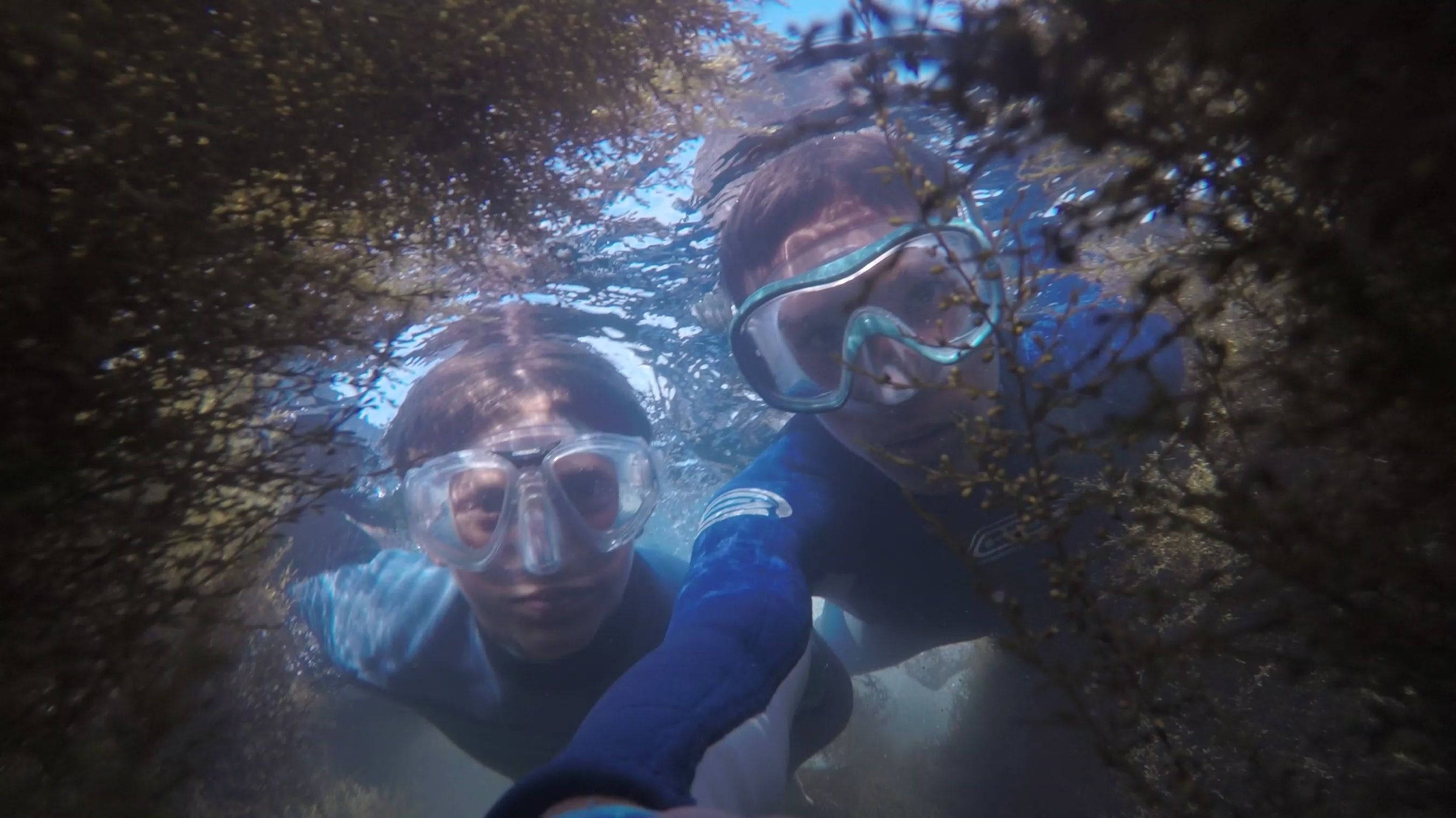 Snorkeling 桌布 壁紙 — 兩名浮潛者戴著透明面罩和藍色潛水衣，透過陽光照耀的海藻林凝視。
