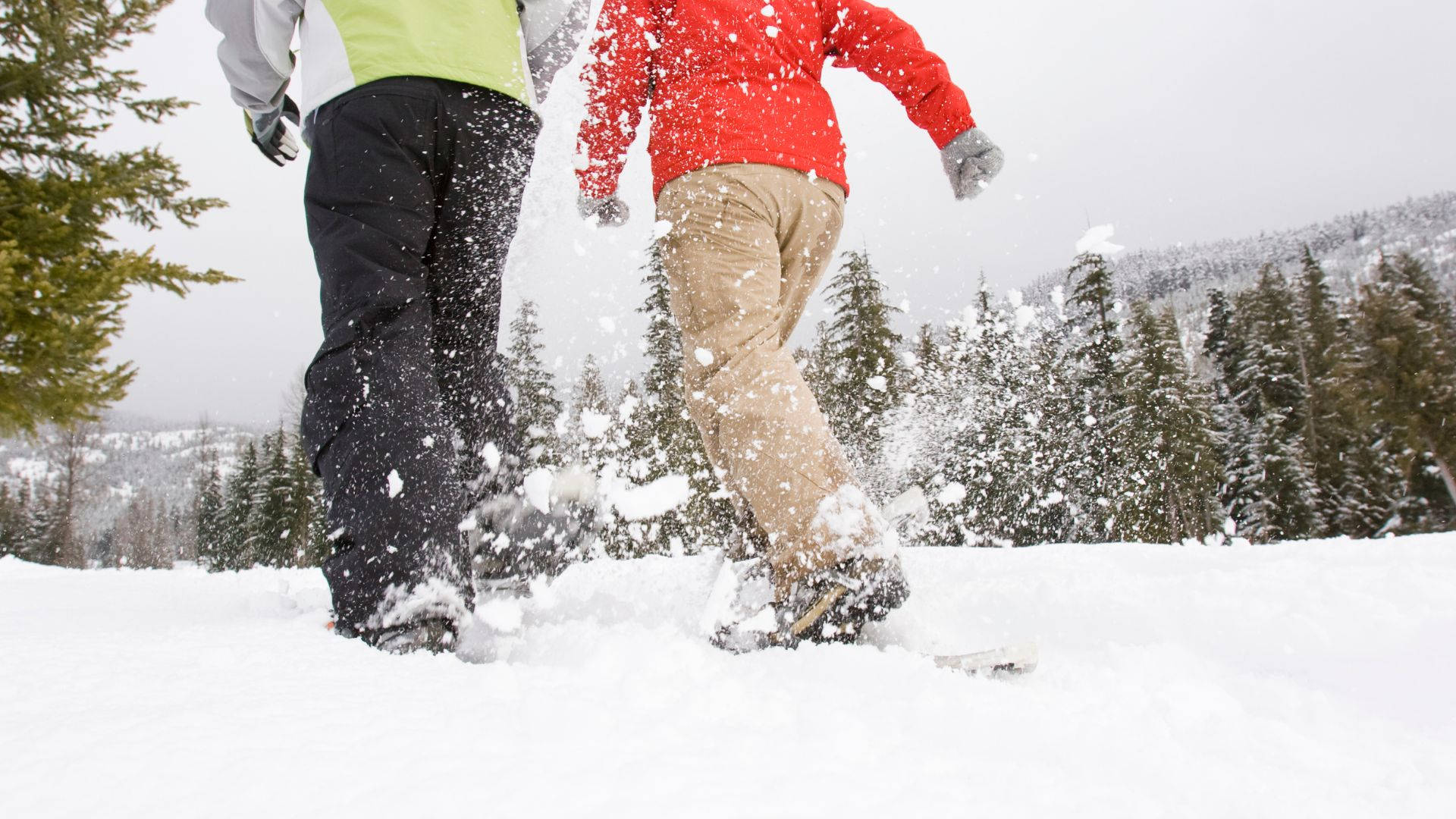 雪 桌布 壁紙 — 兩名滑雪板運動員在常青樹環繞的雪山斜坡上滑行，揚起新鮮的粉雪。