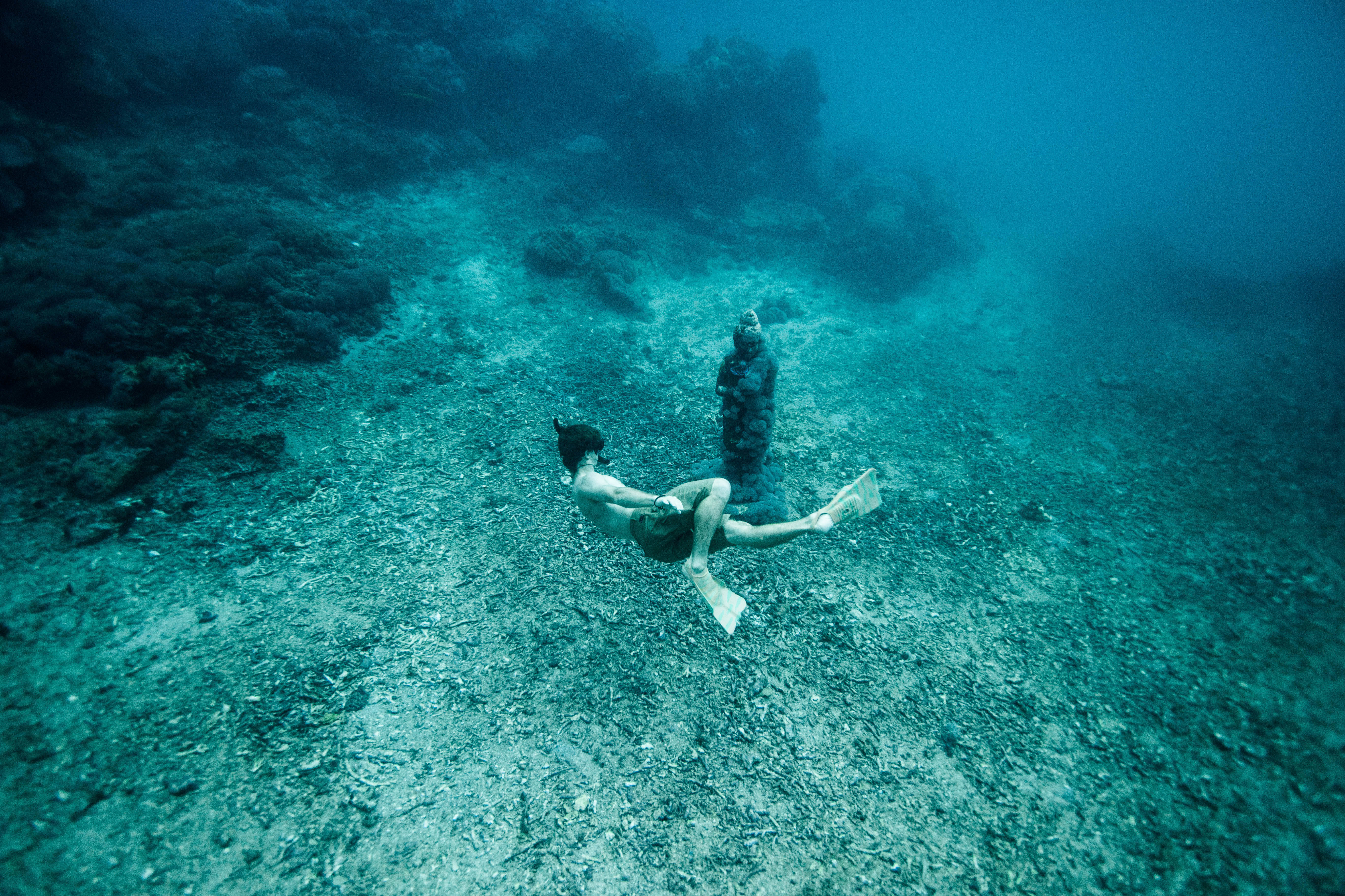 Snorkeling 桌布 壁紙 — 兩名潛水員在清澈碧綠的海水中，優雅地滑過陽光普照的珊瑚礁海底。