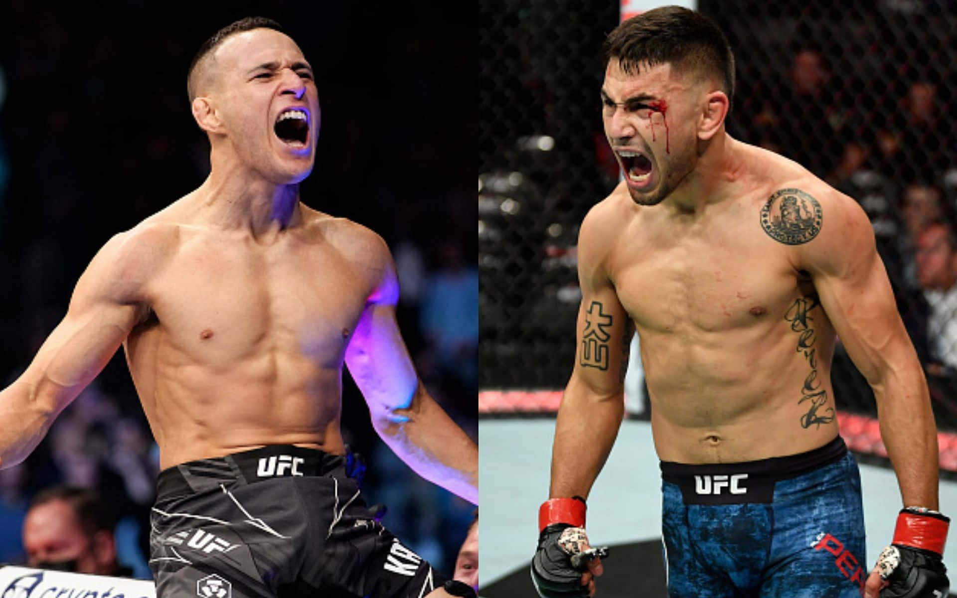 MMA 桌布 壁紙 — 兩名激烈的UFC拳手在八角籠內滿臉鮮血、肌肉發達，咆哮勝利。