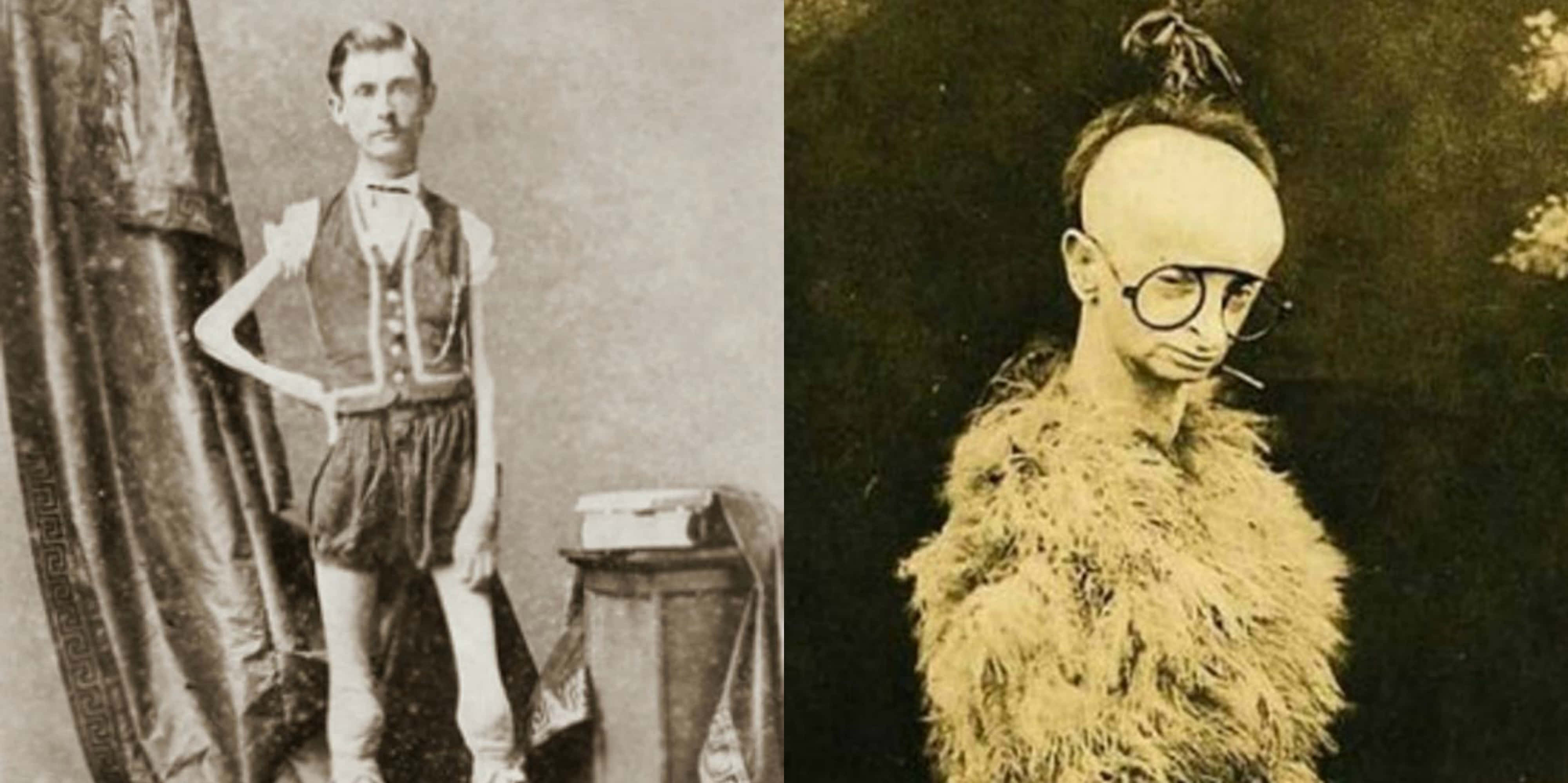 Freaky 桌布 壁紙 — 兩名男士的復古棕褐色調肖像，一人身穿正裝站在窗簾旁，另一人禿頭戴眼鏡和皮草大衣，手持香煙。