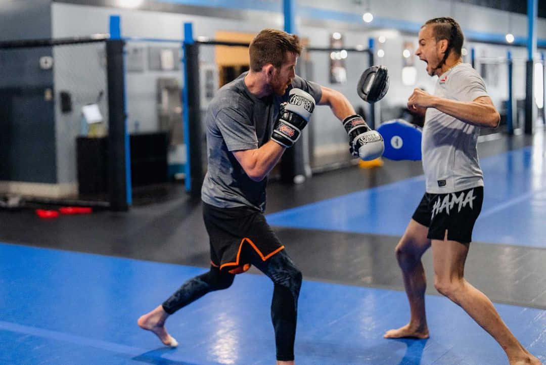 MMA 桌布 壁紙 — 兩名男子在健身房激烈訓練，一人向護墊出拳，另一人防守。