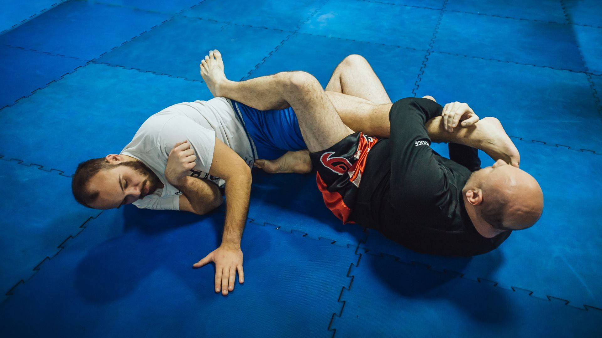 martial arts 桌布 壁紙 — 兩名男子在藍色軟墊上激烈纏鬥，進行武術訓練。