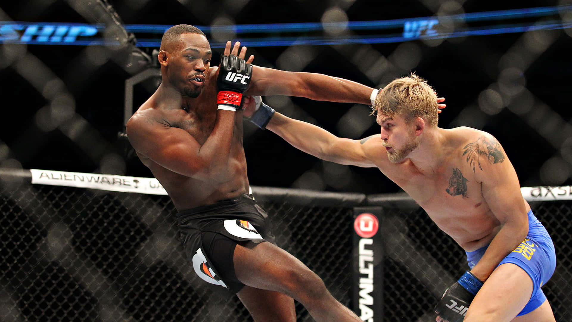 UFC 桌布 壁紙 — 兩名男性拳手在UFC八角籠中交鋒，一人出拳，另一人用前臂阻擋。