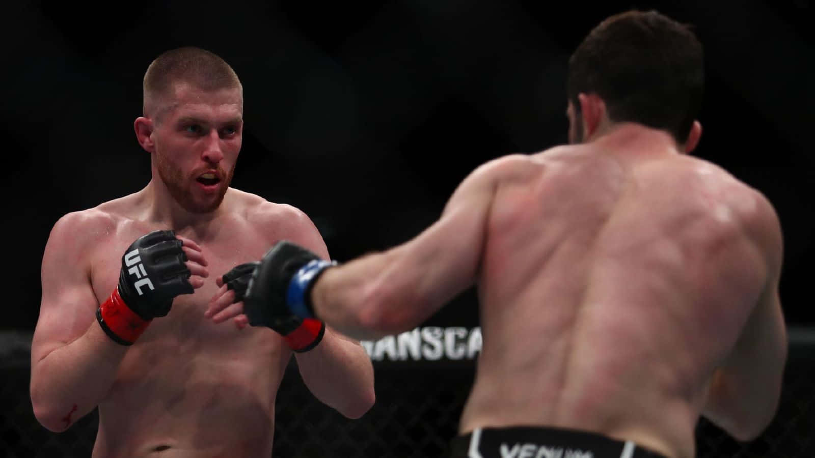 UFC 桌布 壁紙 — 兩名男性拳手在UFC八角籠內，在明亮的場館燈光下，以高度專注互相出拳。