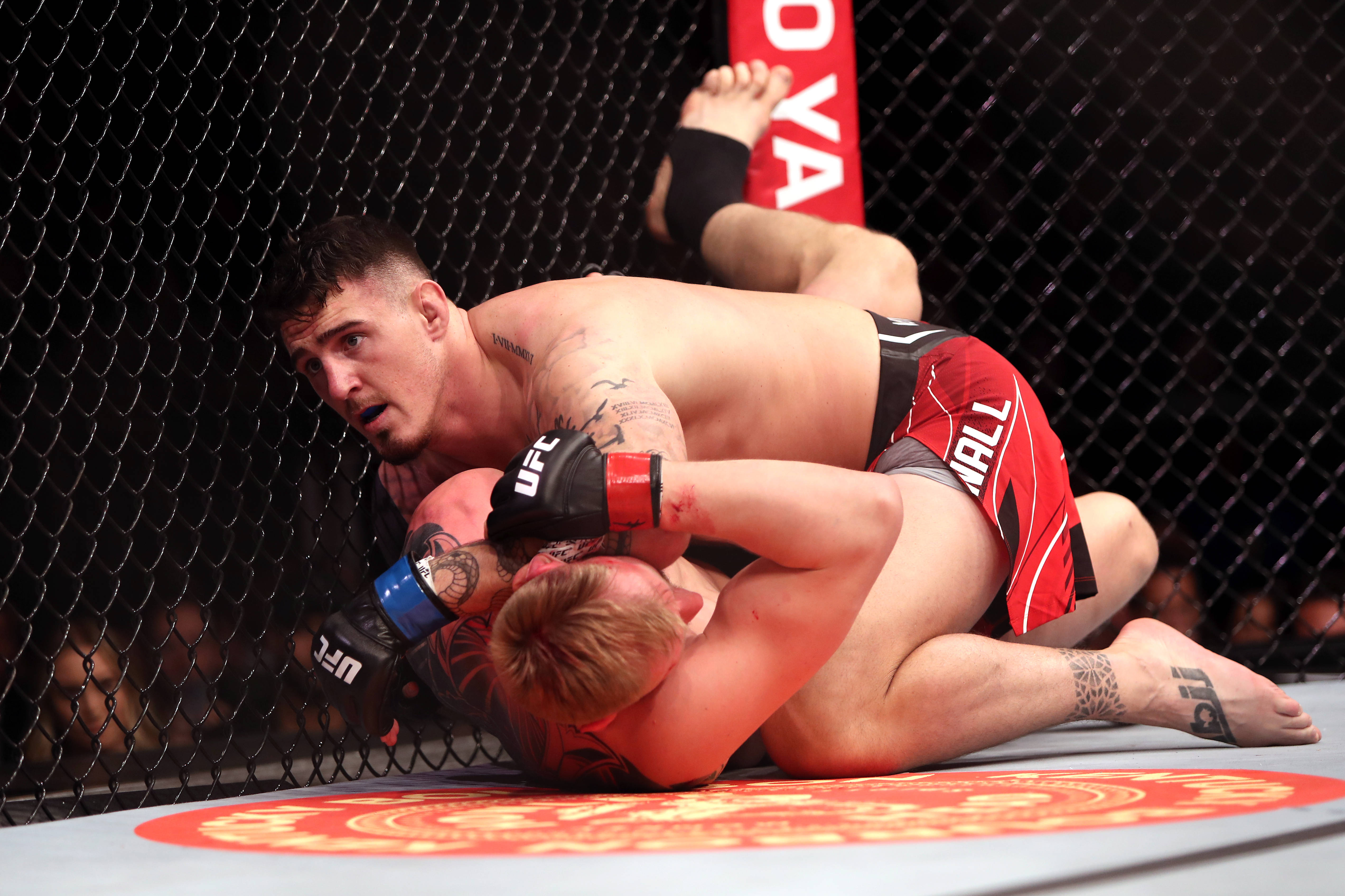 UFC 桌布 壁紙 — 兩名男性拳手在UFC八角籠墊上激烈纏鬥，身後有鐵絲網圍欄。