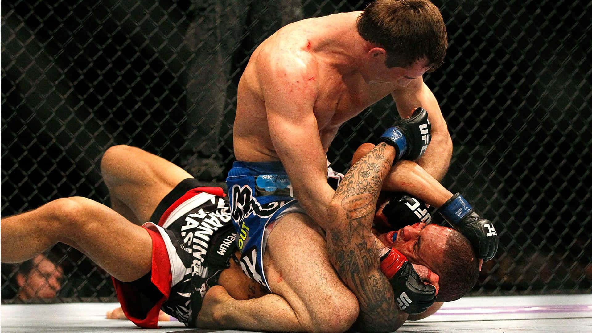 UFC 桌布 壁紙 — 兩名男拳手在八角籠內的地墊上激烈纏鬥，背景是鐵絲網圍欄。