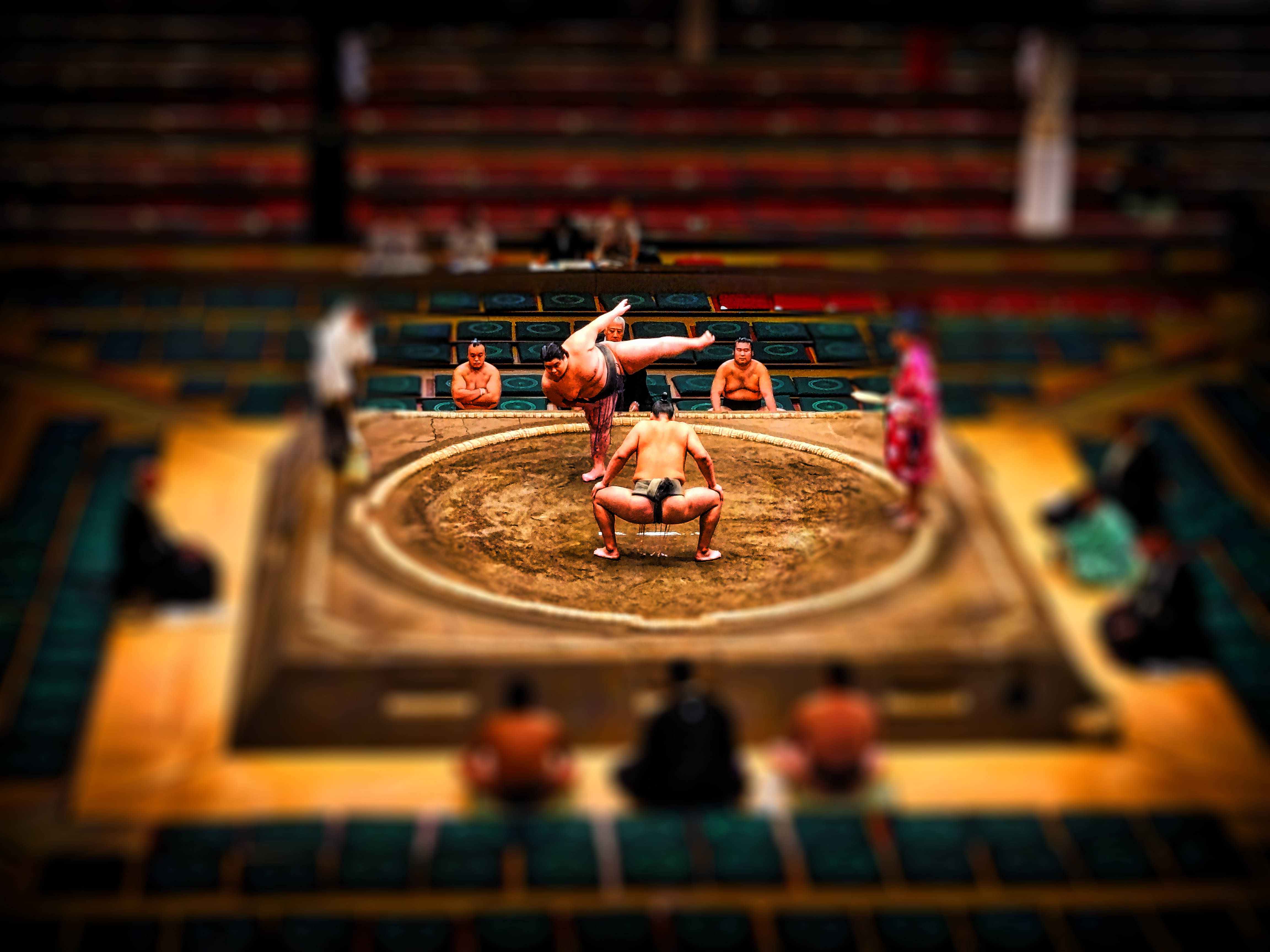 Wrestling 桌布 壁紙 — 兩名相撲選手在圓形泥地賽場中激烈扭打，觀眾坐在階梯式看台上。