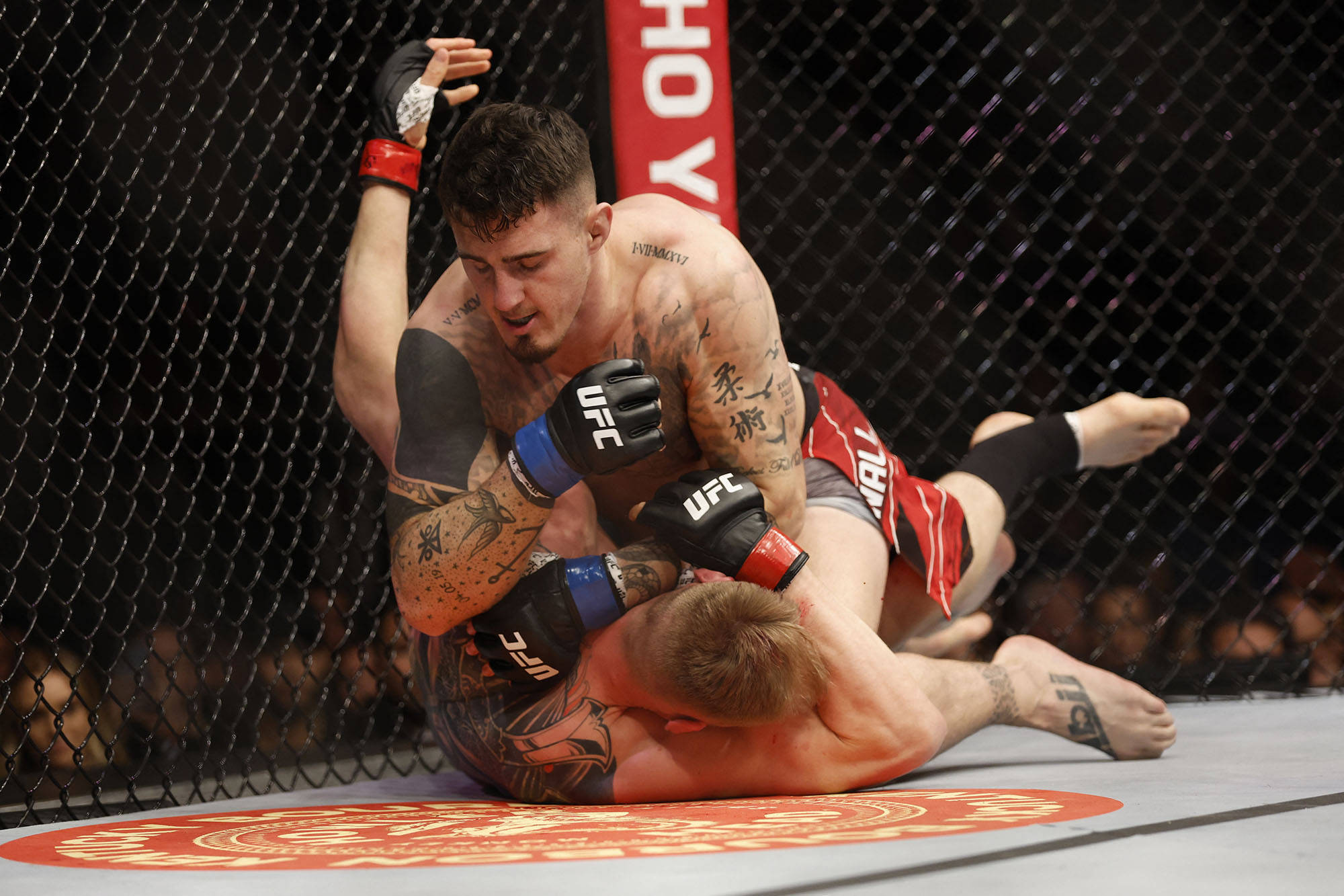 UFC 桌布 壁紙 — 兩名紋身MMA拳手在UFC八角籠墊上激烈纏鬥，鐵絲網圍欄後是模糊的人群。