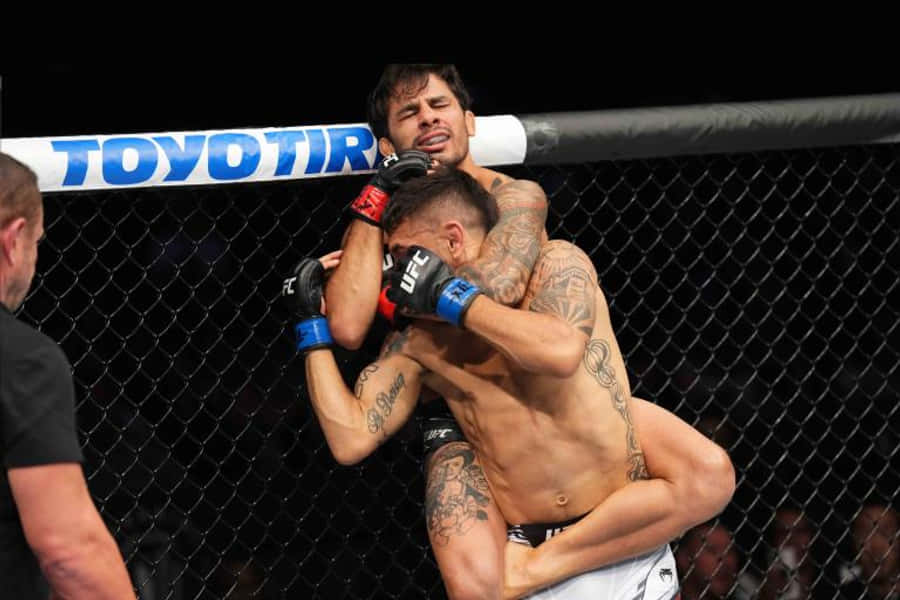 MMA 桌布 壁紙 — 兩名紋身MMA拳手在燈光昏暗的八角籠內激烈纏鬥，裁判在旁。