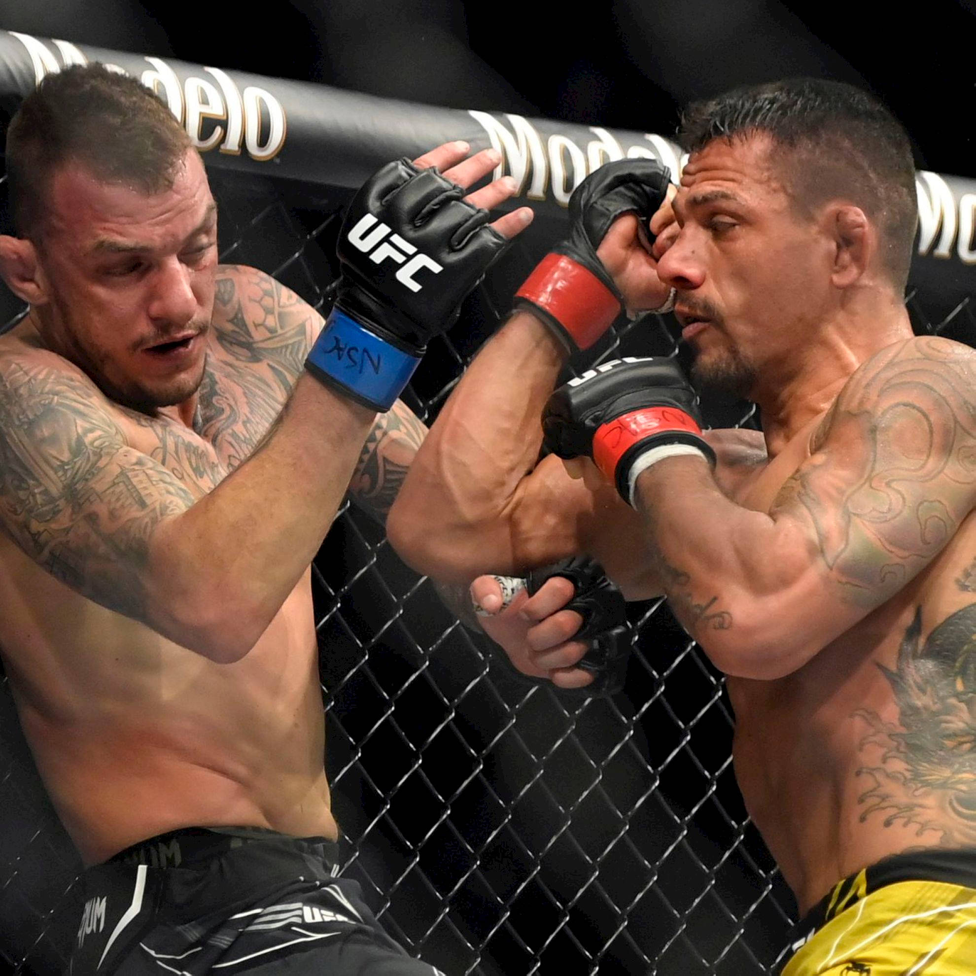 MMA 桌布 壁紙 — 兩名紋身MMA拳手在籠中激烈交鋒，專注度極高，汗水飛濺，在明亮的場館燈光下交換強力打擊。