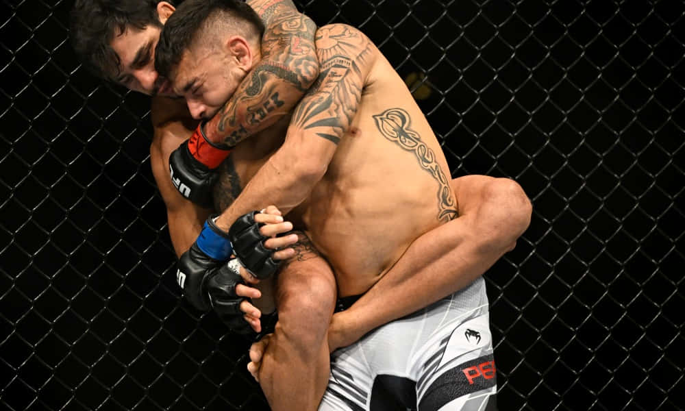 MMA 桌布 壁紙 — 兩名紋身MMA拳手在背後有黑色鐵絲網的籠中激烈纏鬥。
