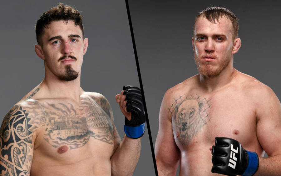 UFC 桌布 壁紙 — 兩名肌肉發達、有刺青的男性MMA拳手，在灰色分割背景前，戴著UFC手套，擺出強烈的姿勢。