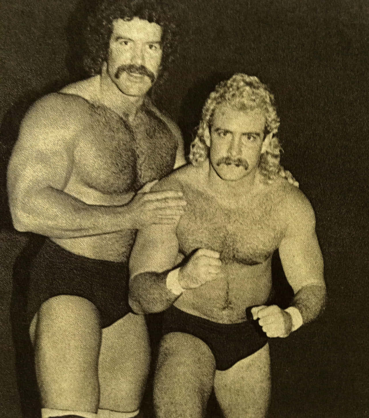 Scott Hall 桌布 壁紙 — 兩名肌肉發達、留著捲髮和鬍子的摔角手，自信地穿著黑色三角褲，站在深色背景前擺姿勢。