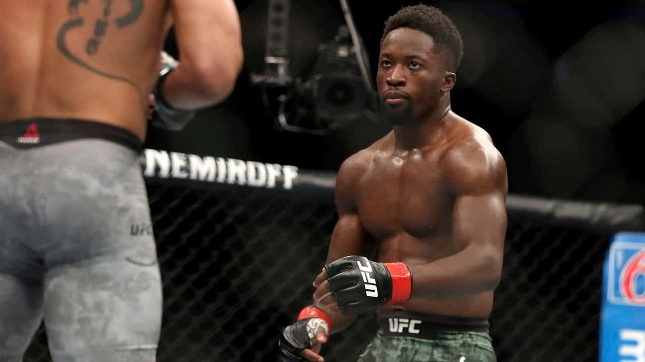 UFC 桌布 壁紙 — 兩名肌肉發達的MMA拳手在UFC八角籠內，在明亮的場館燈光下專注地對峙。