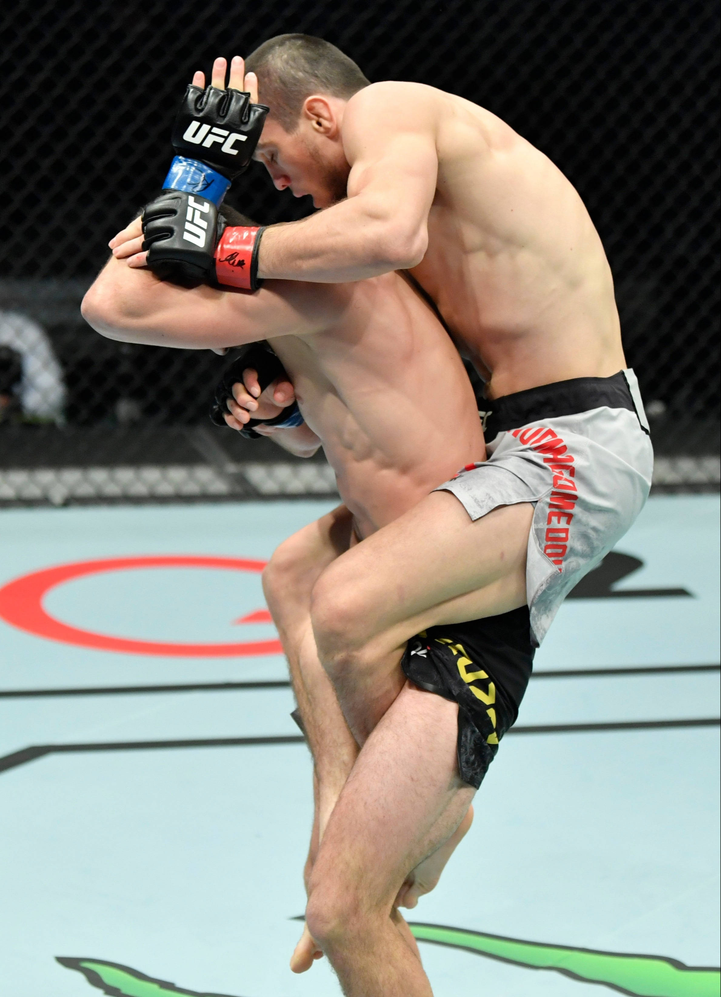 UFC 桌布 壁紙 — 兩名肌肉發達的MMA拳手在UFC比賽中於籠內激烈纏鬥，汗水與專注交織。