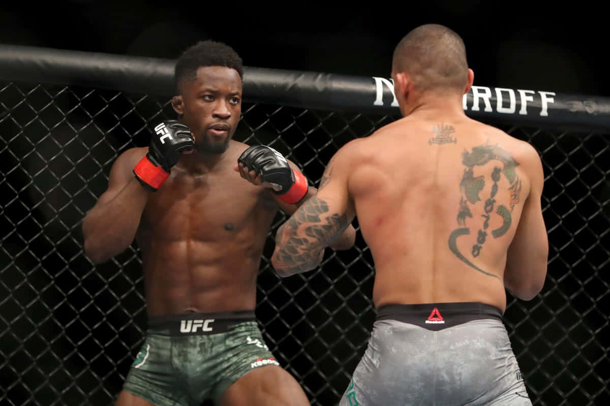 UFC 桌布 壁紙 — 兩名肌肉發達的MMA拳手在八角籠中對峙，專注力極強，背部紋身清晰可見。