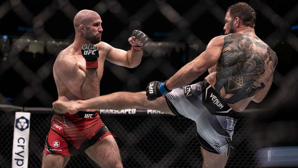 MMA 桌布 壁紙 — 兩名肌肉發達的MMA拳手在八角籠中交鋒，一人踢出高踢，另一人在緊張的戰鬥時刻進行阻擋。