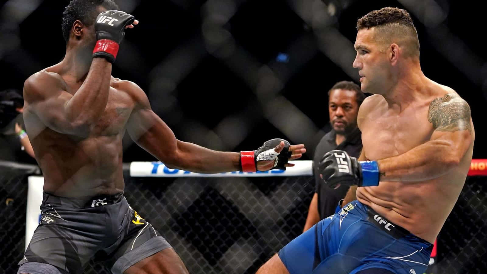 MMA 桌布 壁紙 — 兩名肌肉發達的MMA拳手在明亮的場館燈光下進行激烈的籠鬥。