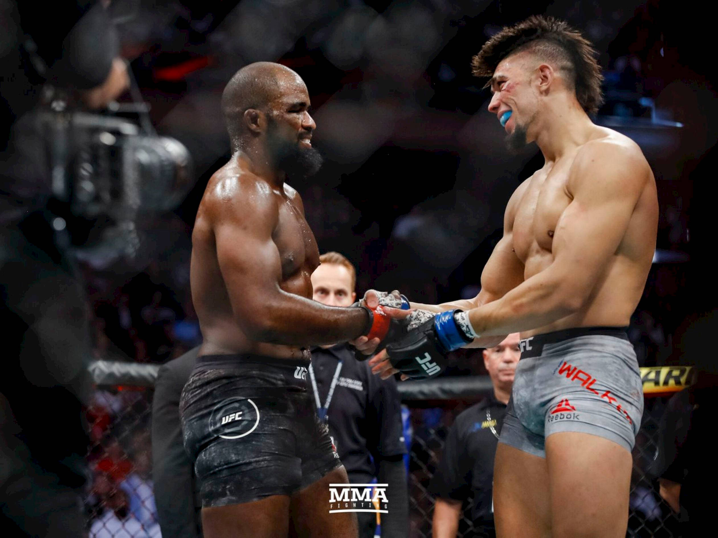 運動 桌布 壁紙 — 兩名肌肉發達的MMA拳手在明亮的場館燈光下於籠中握手，背景有模糊的觀眾和攝影機。
