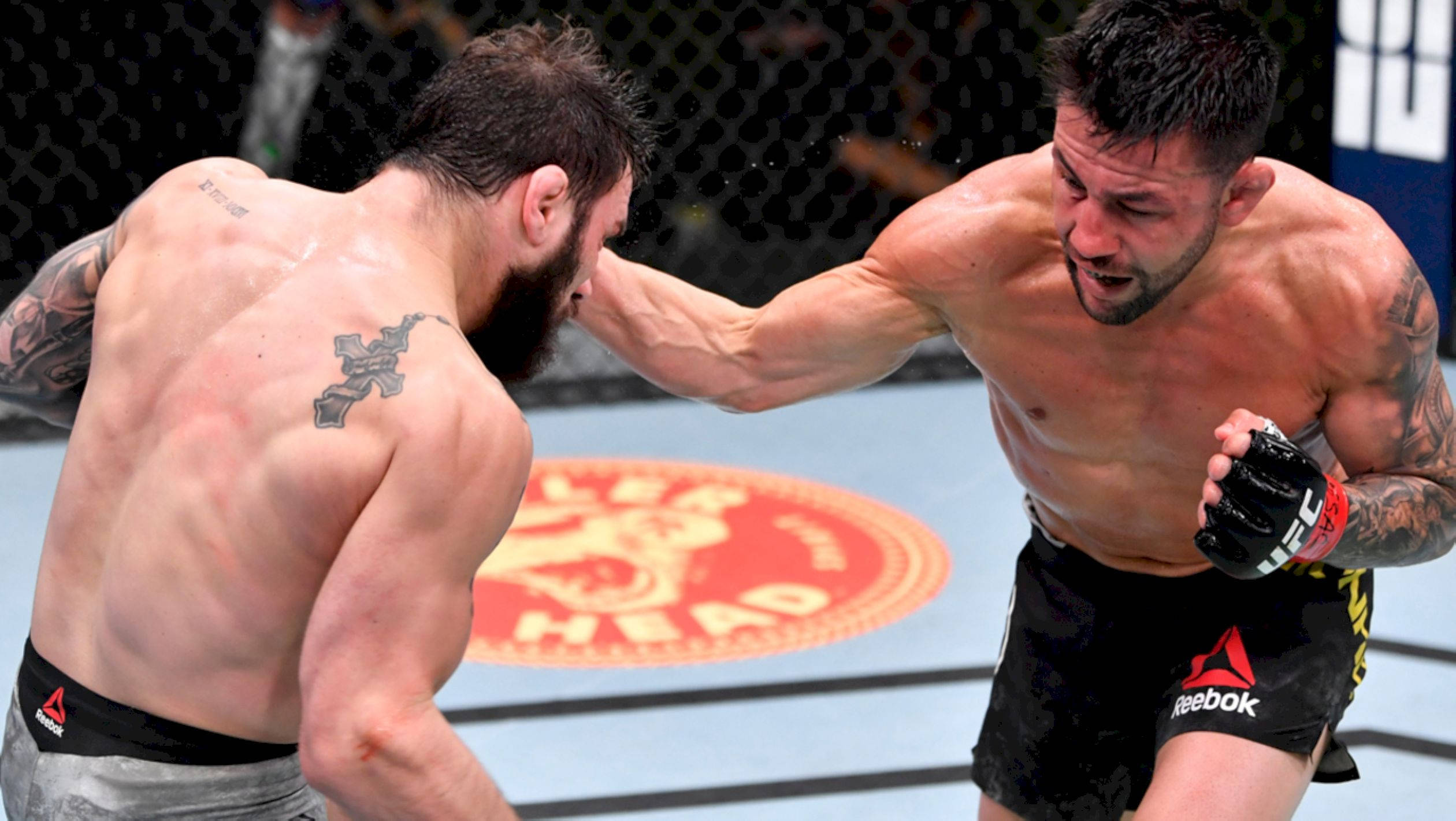Champion 桌布 壁紙 — 兩名肌肉發達的MMA拳手在激烈的鐵籠賽中交鋒，汗水飛濺，刺青清晰可見。