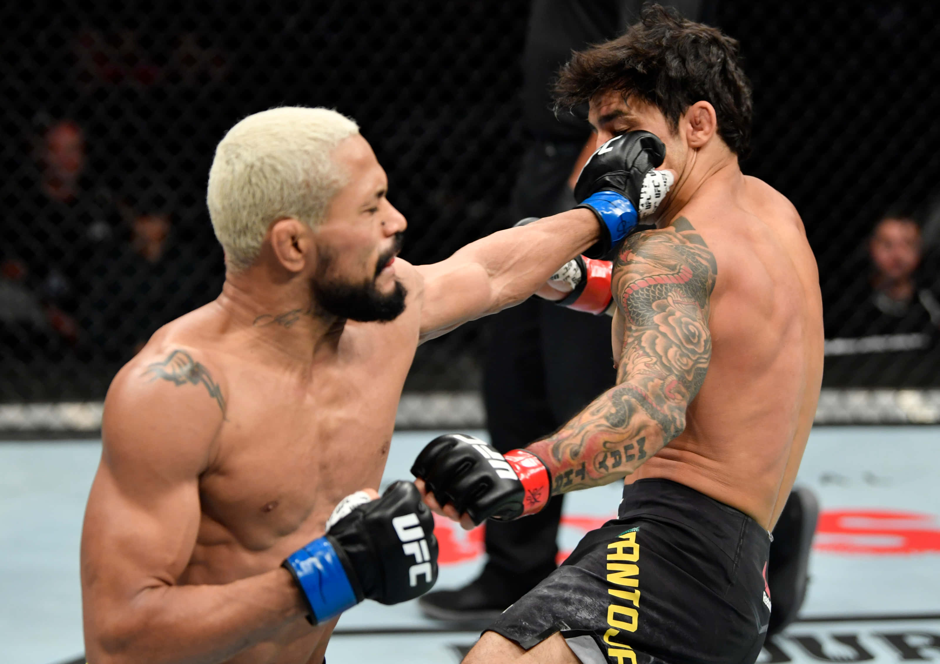 UFC 桌布 壁紙 — 兩名肌肉發達的MMA拳手在激烈的鐵籠賽中交鋒，紋身和拳套飛舞。