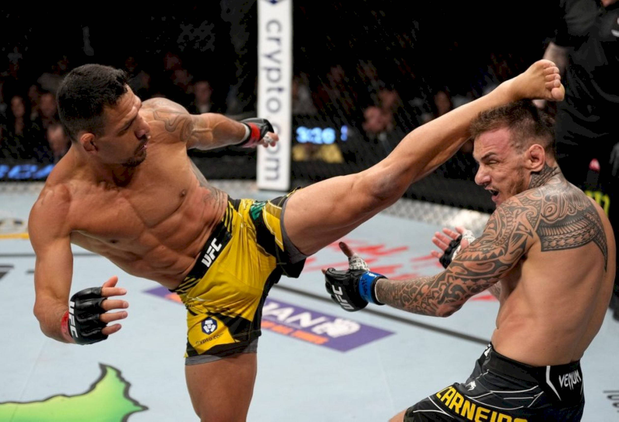 MMA 桌布 壁紙 — 兩名肌肉發達的MMA拳手在激烈的鐵籠賽中交鋒，其中一人使出高踢，另一人則進行阻擋。