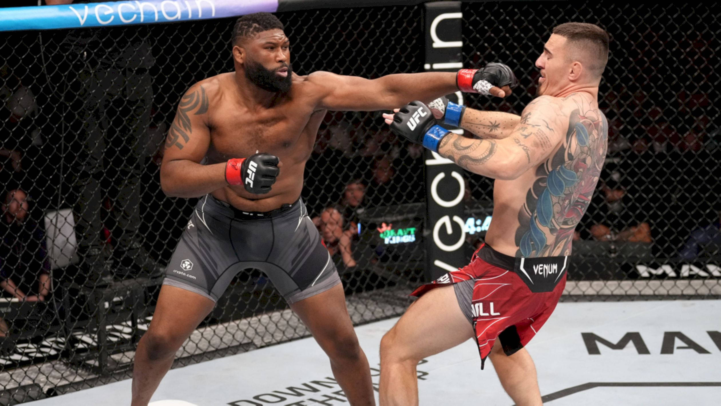 MMA 桌布 壁紙 — 兩名肌肉發達的MMA拳手在激烈的鐵籠賽中交鋒，紋身和手套飛舞。