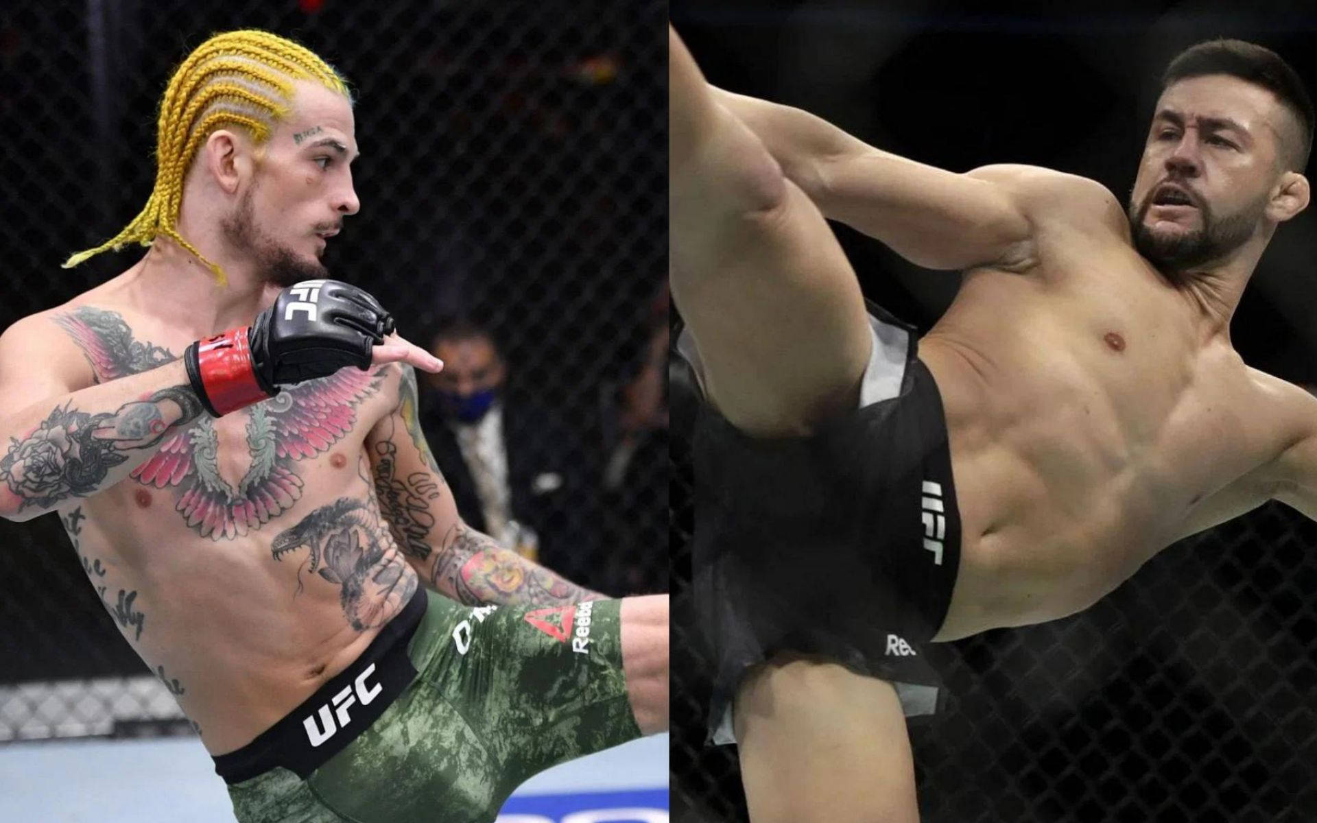 Champion 桌布 壁紙 — 兩名肌肉發達的MMA拳手在籠中，一人有黃色辮子和刺青，另一人正踢腿，兩人都充滿強烈專注力。