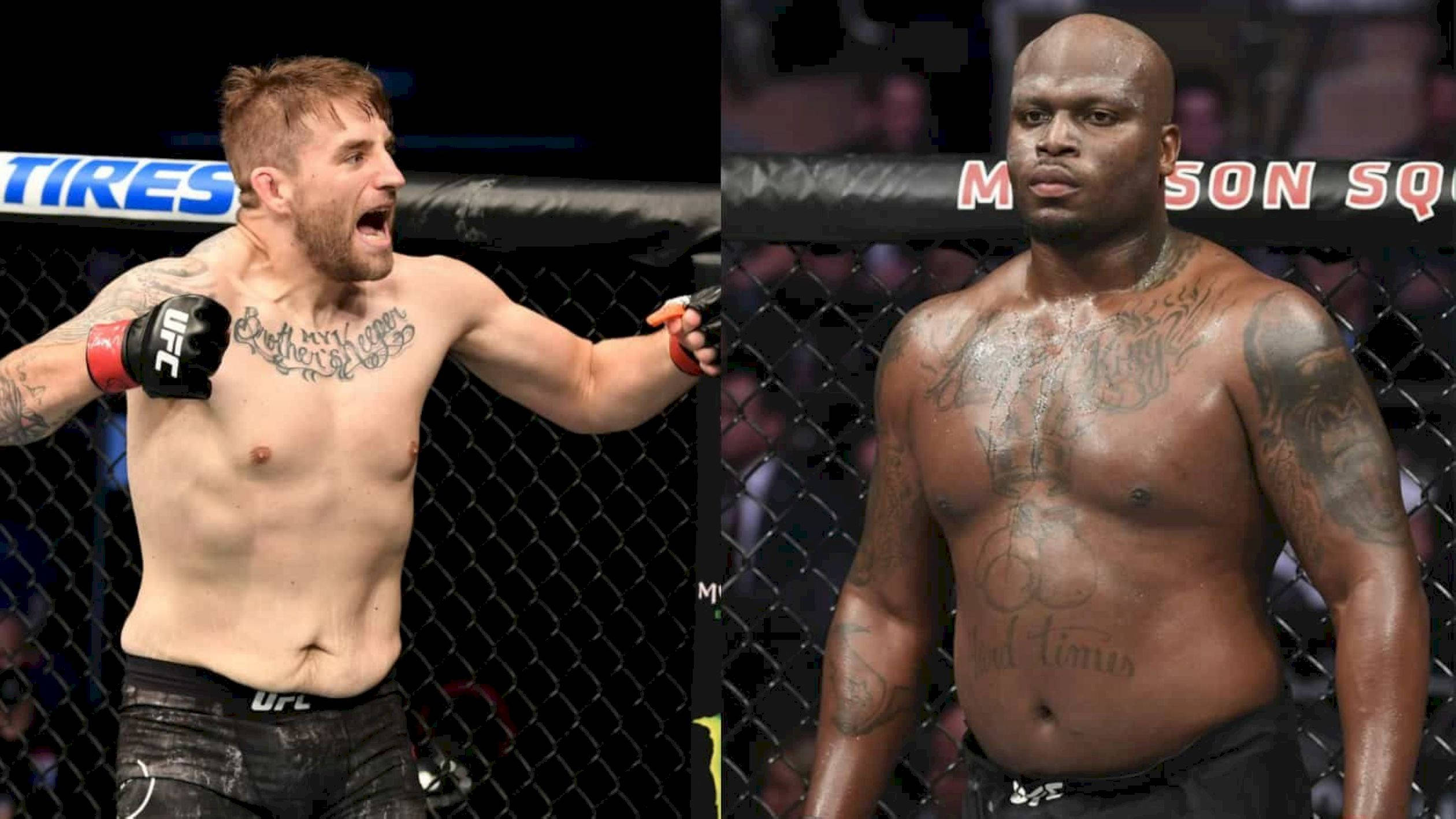 MMA 桌布 壁紙 — 兩名肌肉發達的MMA拳手在籠中，一人慶祝勝利，另一人冷靜站立，紋身在明亮的場館燈光下清晰可見。