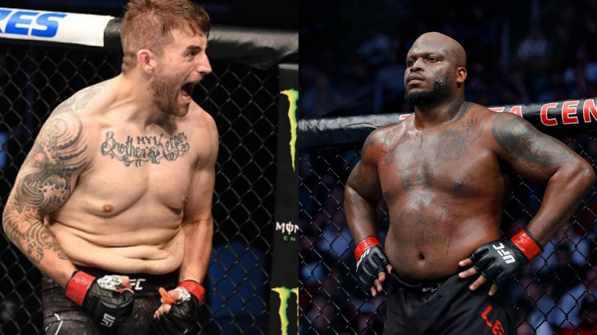MMA 桌布 壁紙 — 兩名肌肉發達的MMA拳手在籠中，一人勝利咆哮，另一人冷靜站立，紋身在明亮場館燈光下清晰可見。