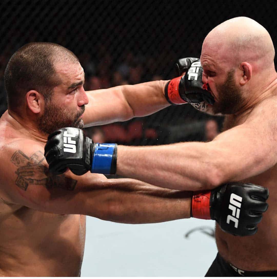 UFC 桌布 壁紙 — 兩名肌肉發達的MMA拳手在籠中交鋒，其中一人向對方臉部重擊一拳。