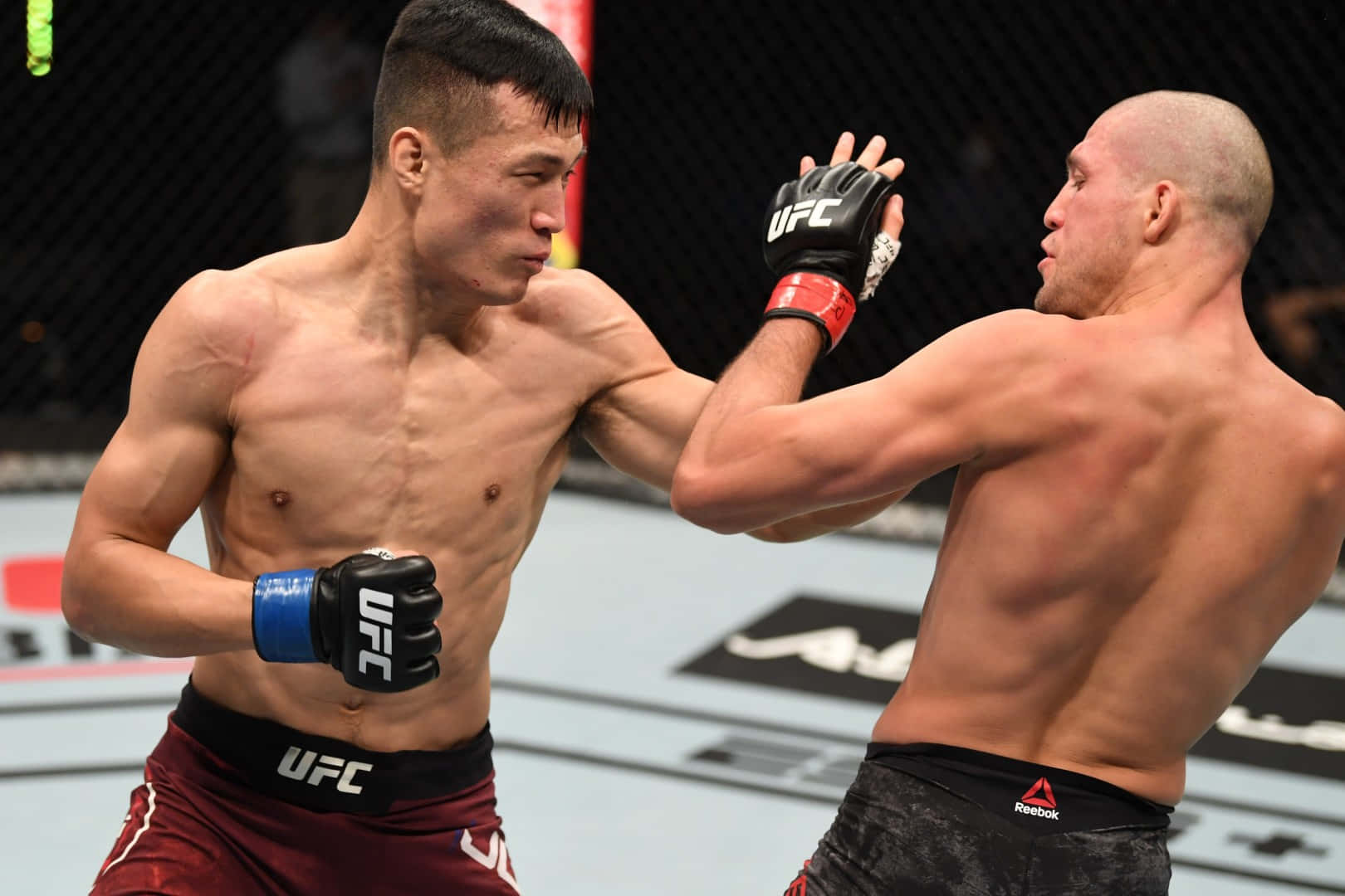 UFC 桌布 壁紙 — 兩名肌肉發達的MMA拳手在籠中交鋒，其中一人在UFC比賽中向對方臉部揮拳。