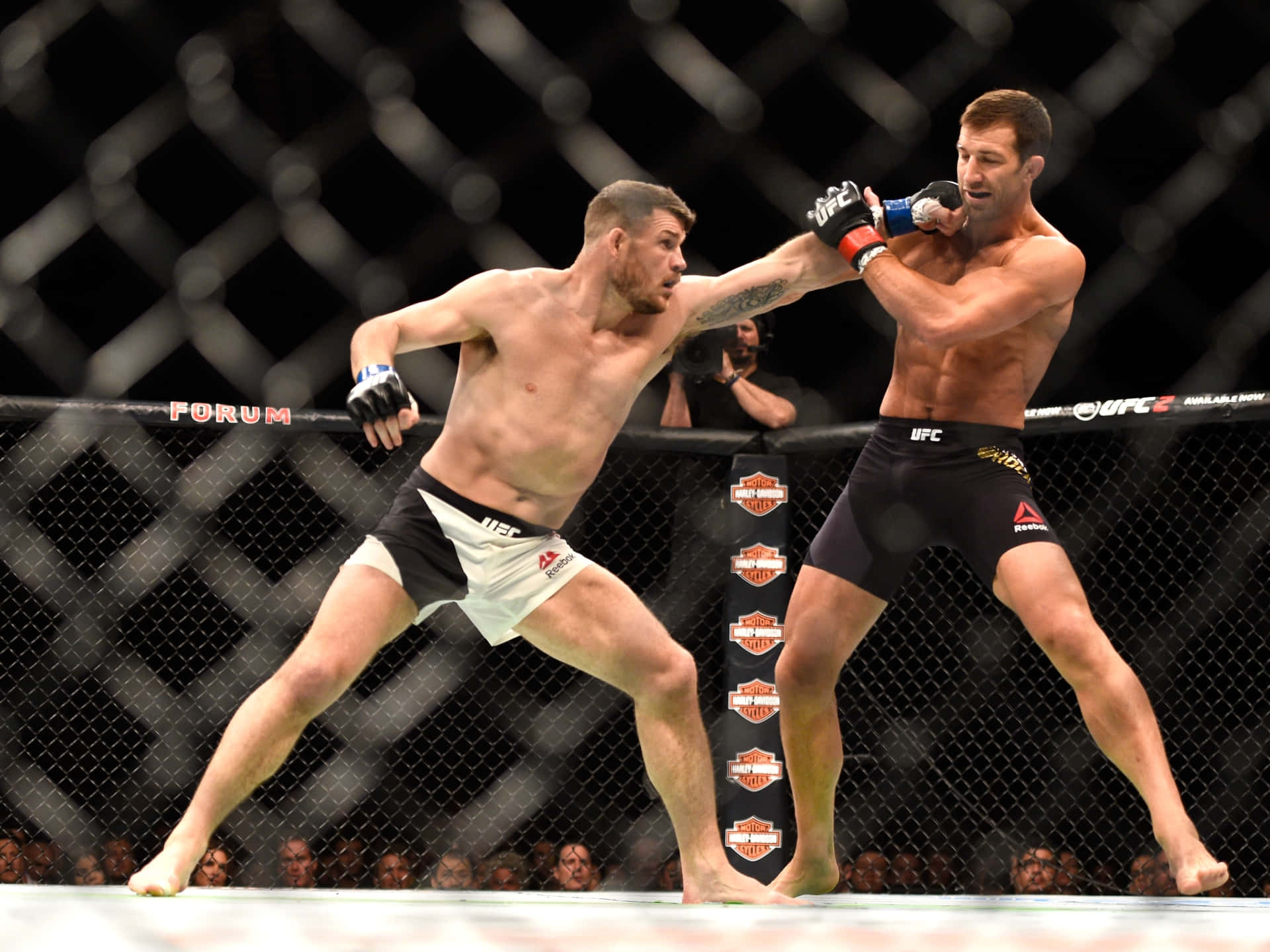 MMA 桌布 壁紙 — 兩名肌肉發達的MMA拳手在籠中交鋒，其中一人揮拳，觀眾專注觀看。