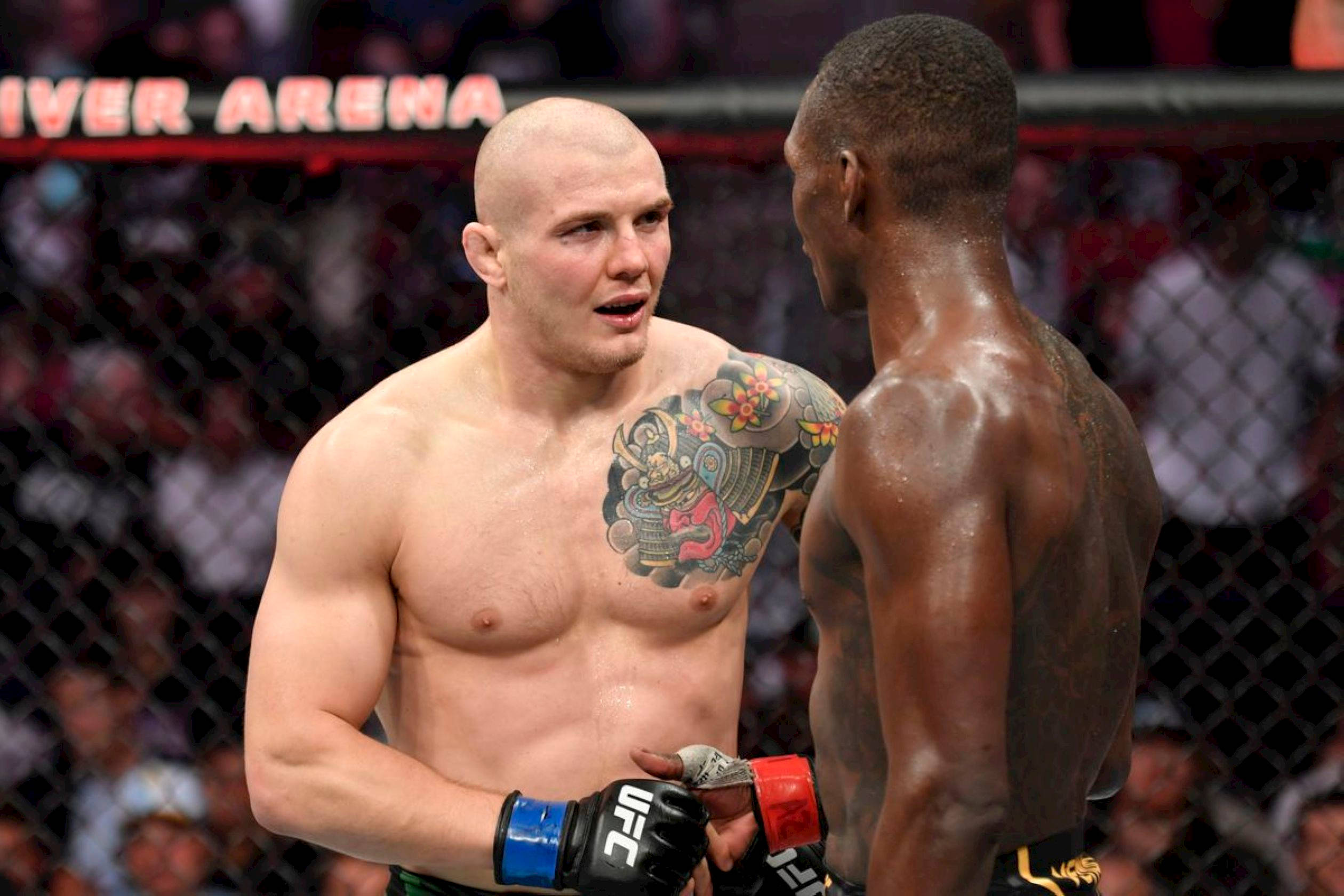 UFC 桌布 壁紙 — 兩名肌肉發達的MMA拳手在籠中對峙，背景有觀眾，場館燈光照射。