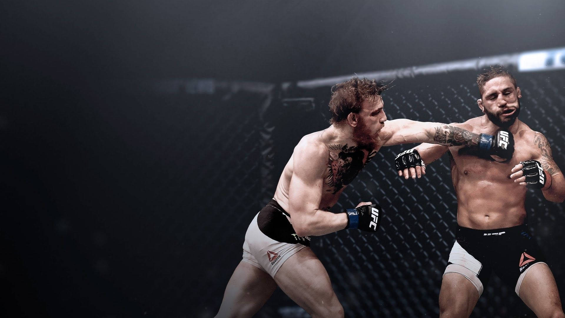 UFC 桌布 壁紙 — 兩名肌肉發達的MMA拳手在籠中激烈碰撞，汗水飛濺，其中一人在明亮的場館燈光下向對手面部打出強力一拳。